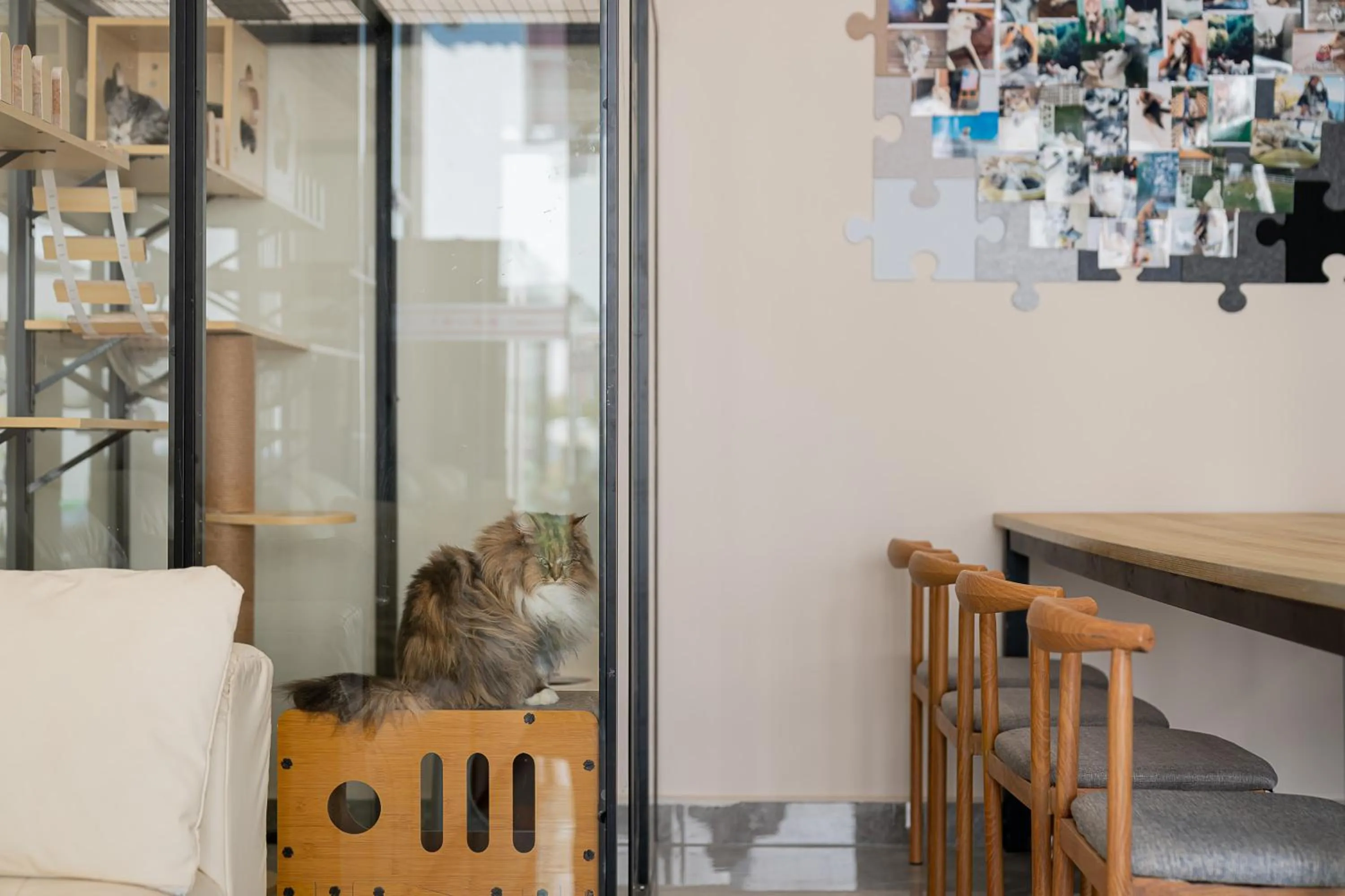 Seating area in Wuyi Whispering Maple