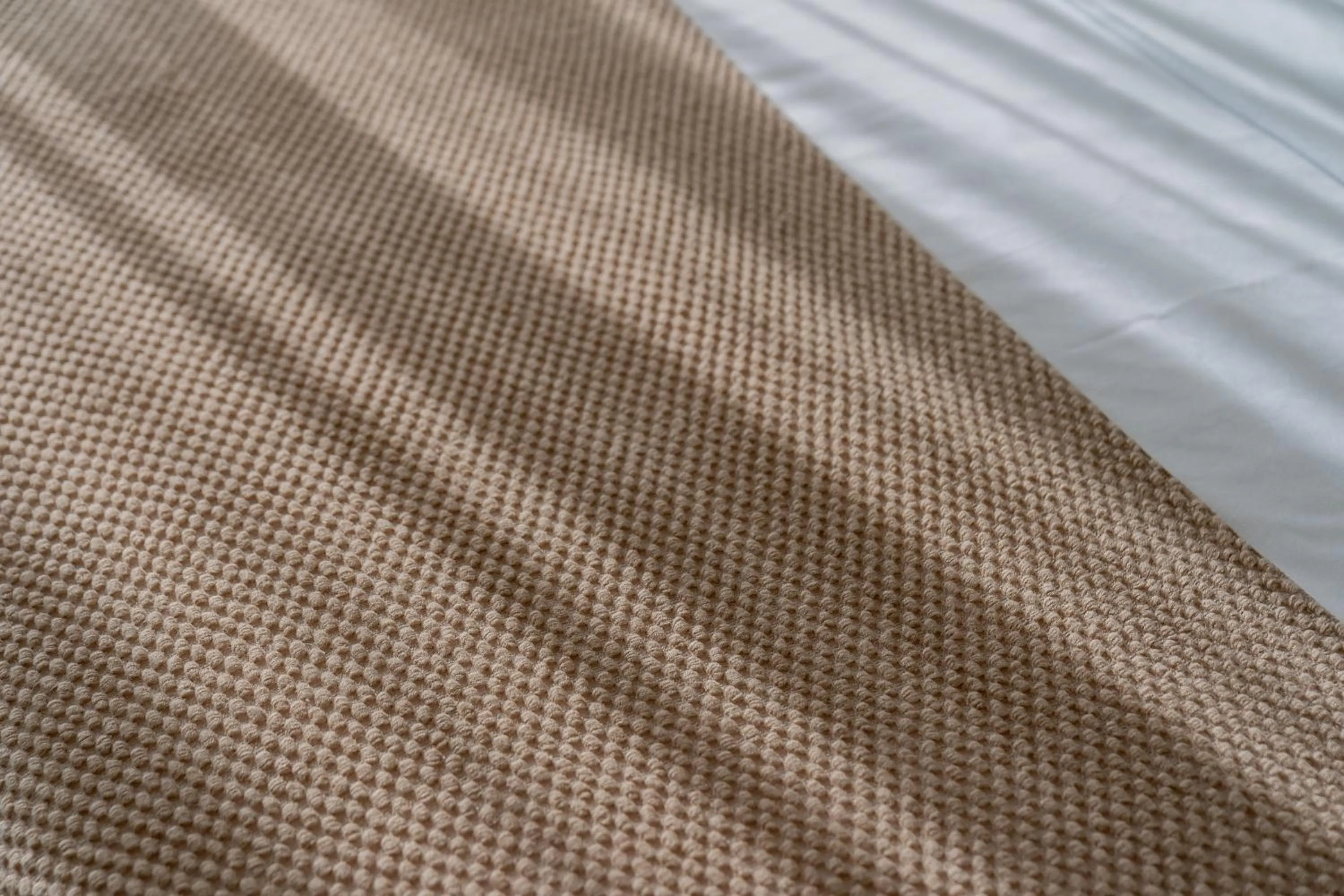 Day in Wuyi Whispering Maple