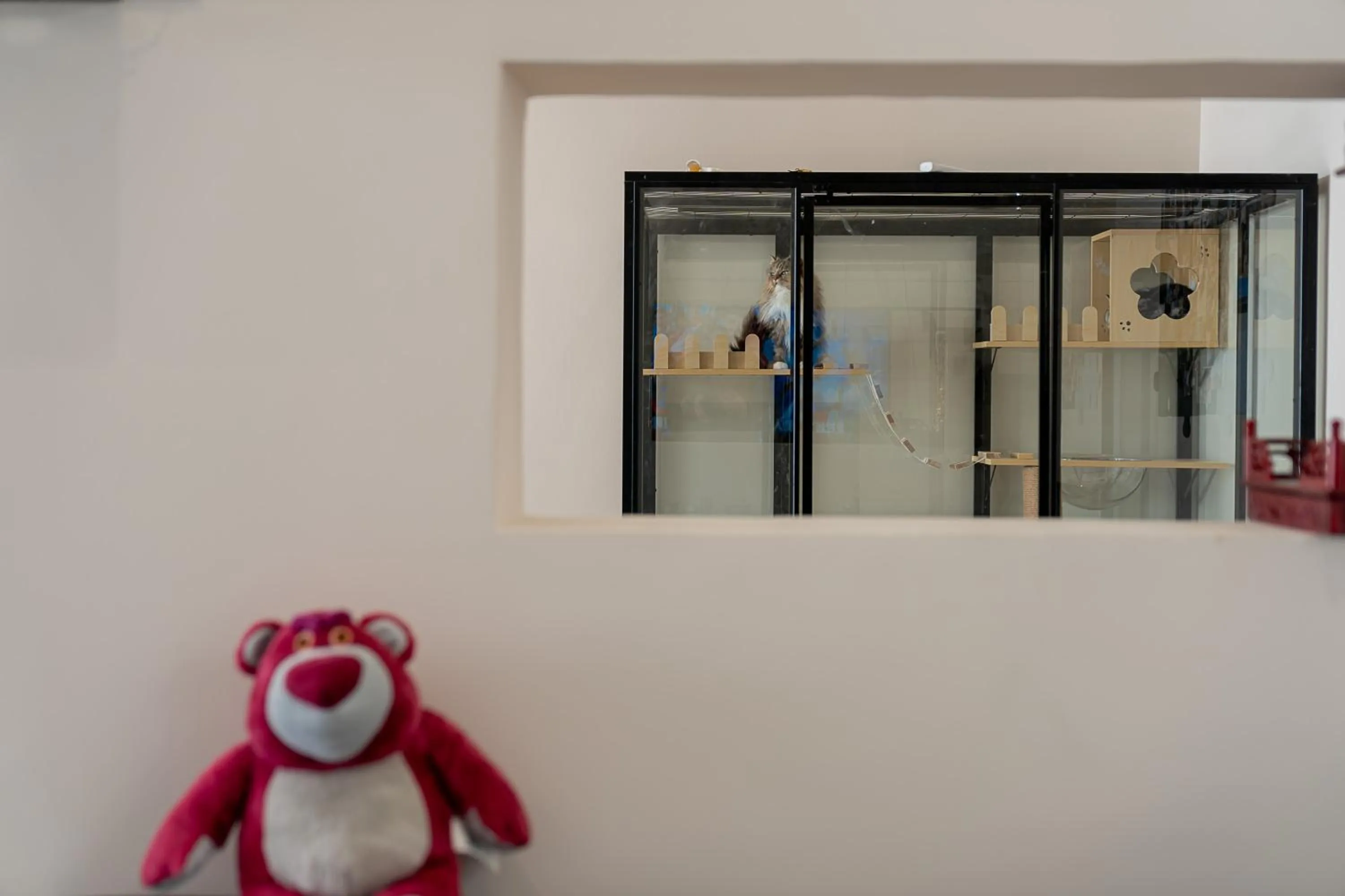 Communal lounge/ TV room in Wuyi Whispering Maple