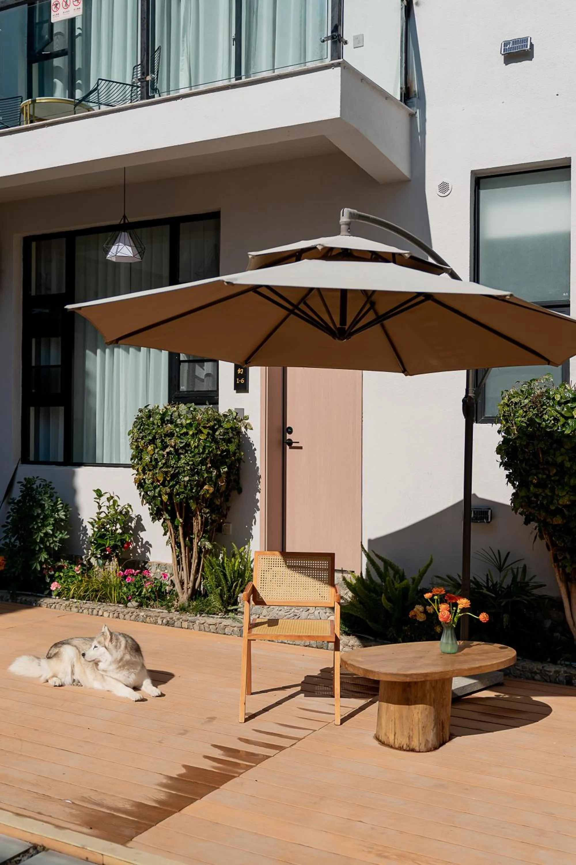 Day in Wuyi Whispering Maple