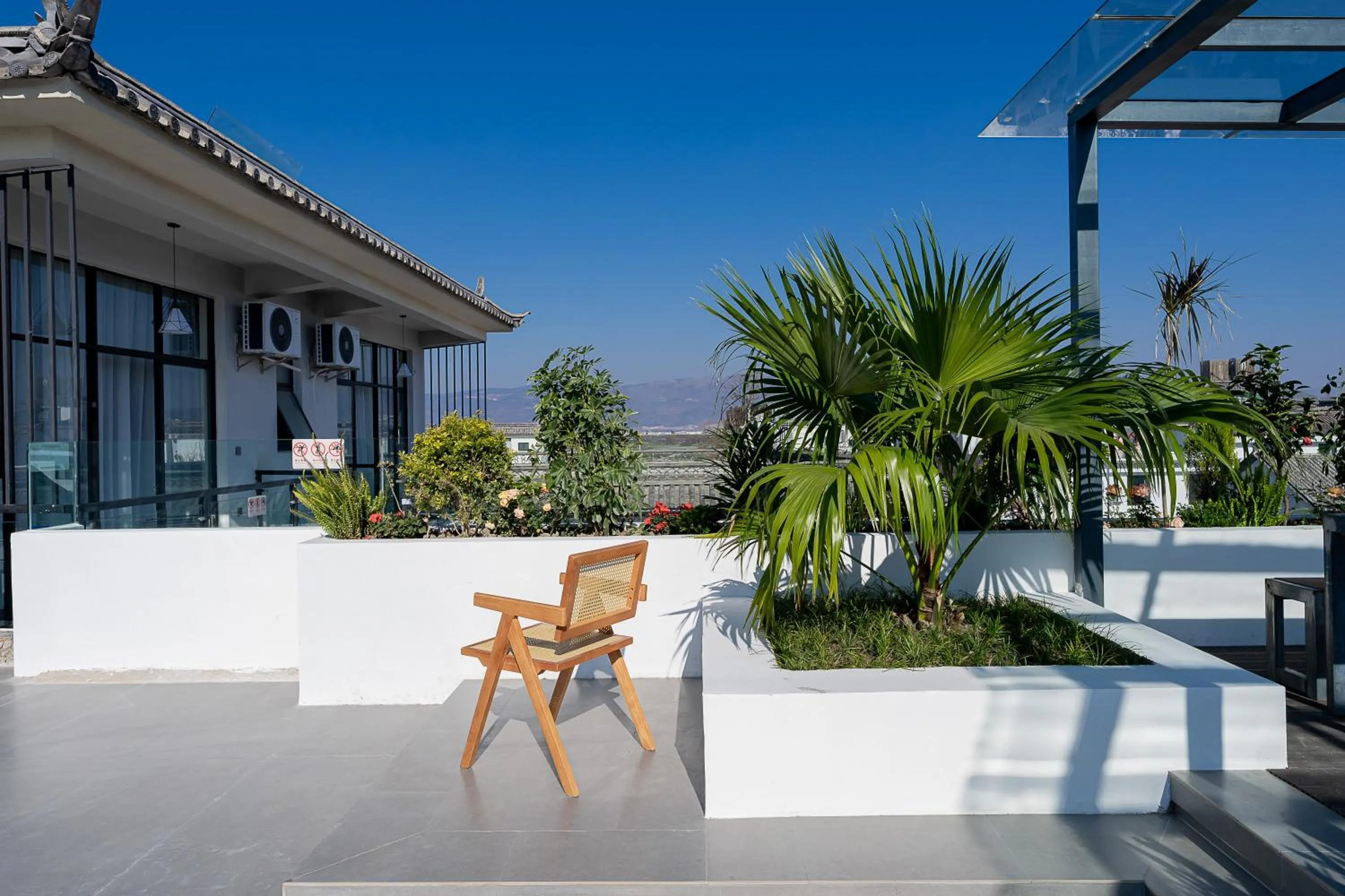 Day in Wuyi Whispering Maple