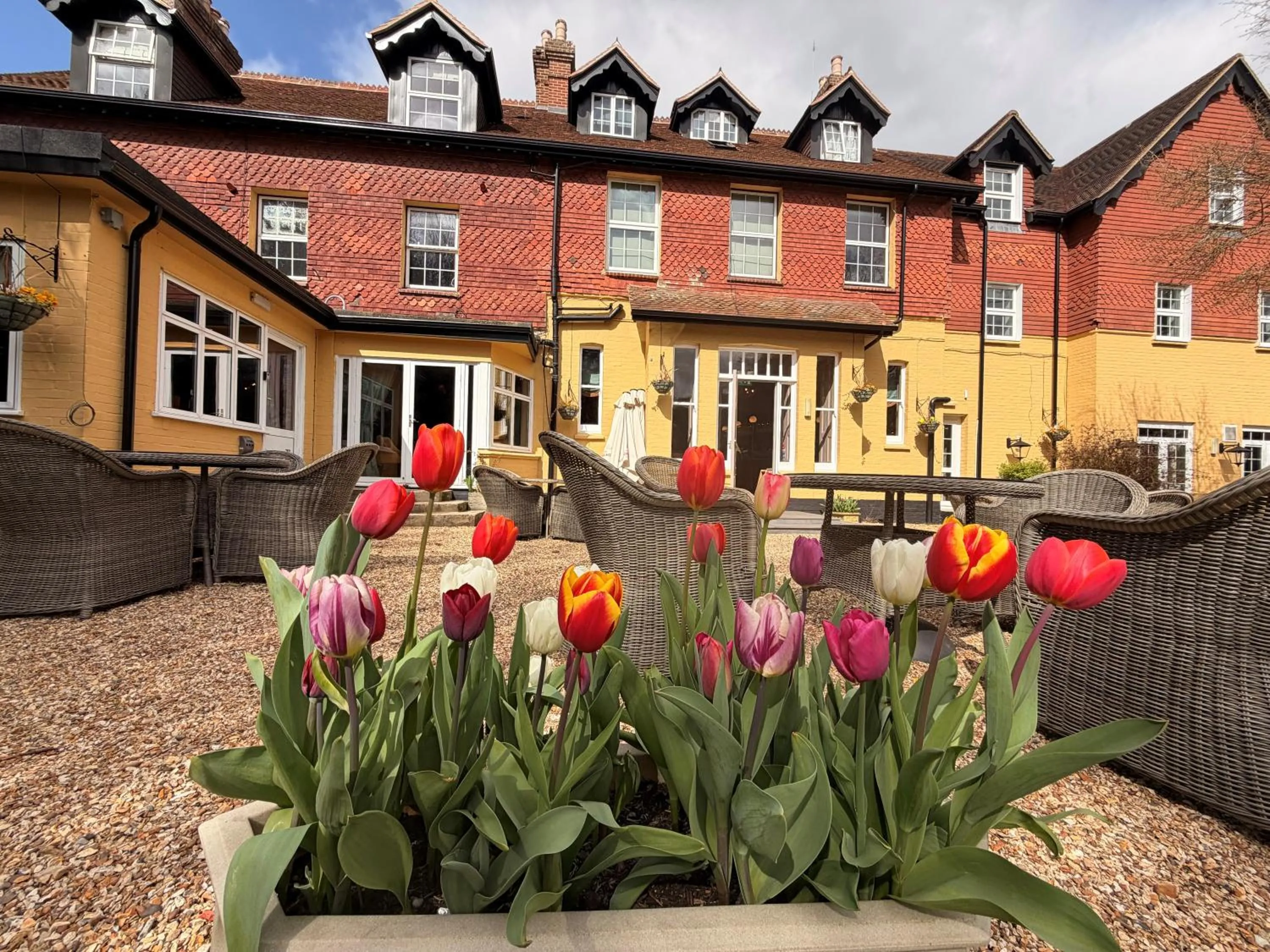 Moorhill House Hotel