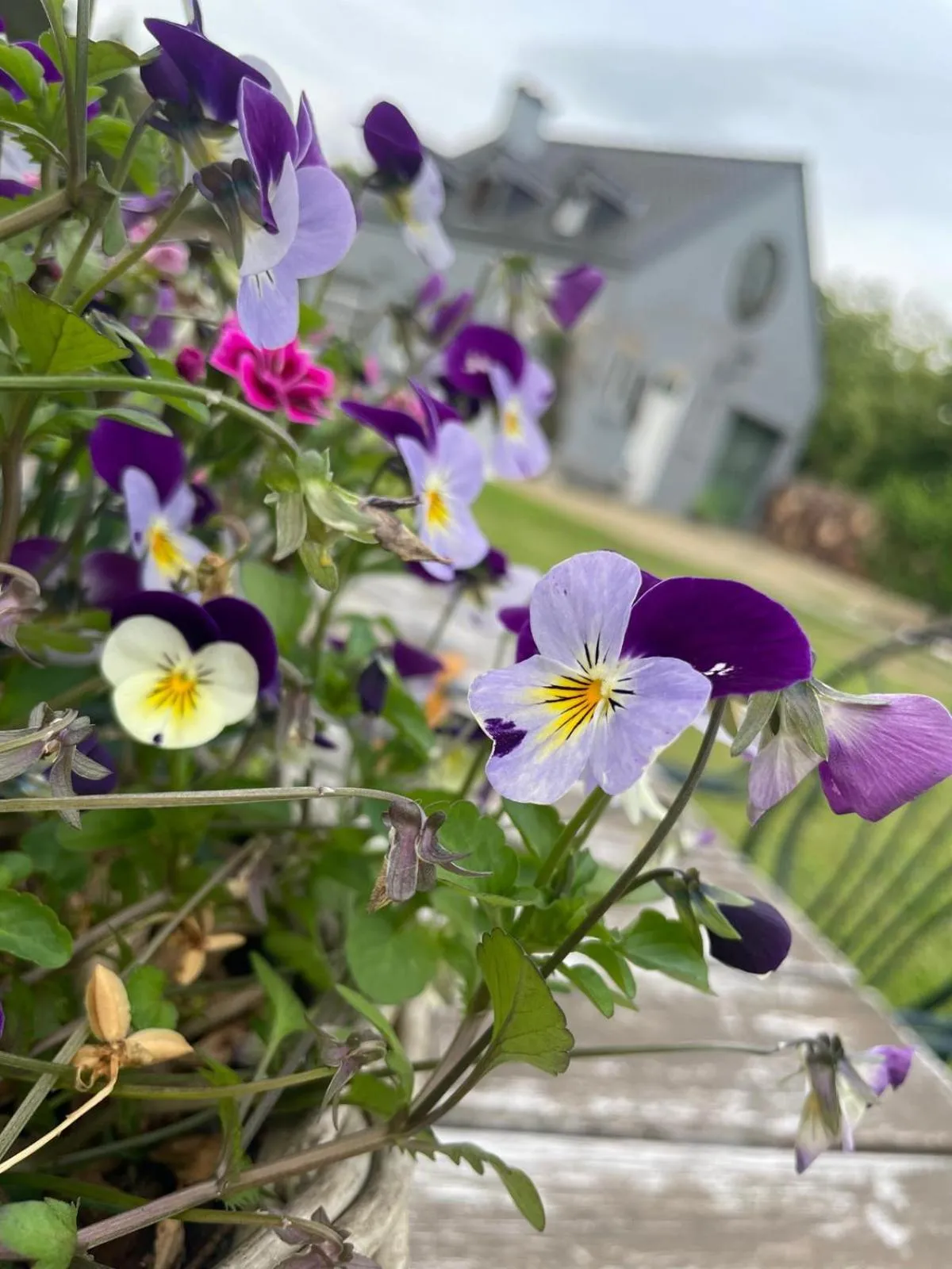 Spring in Guesthouse 't Goed Leven