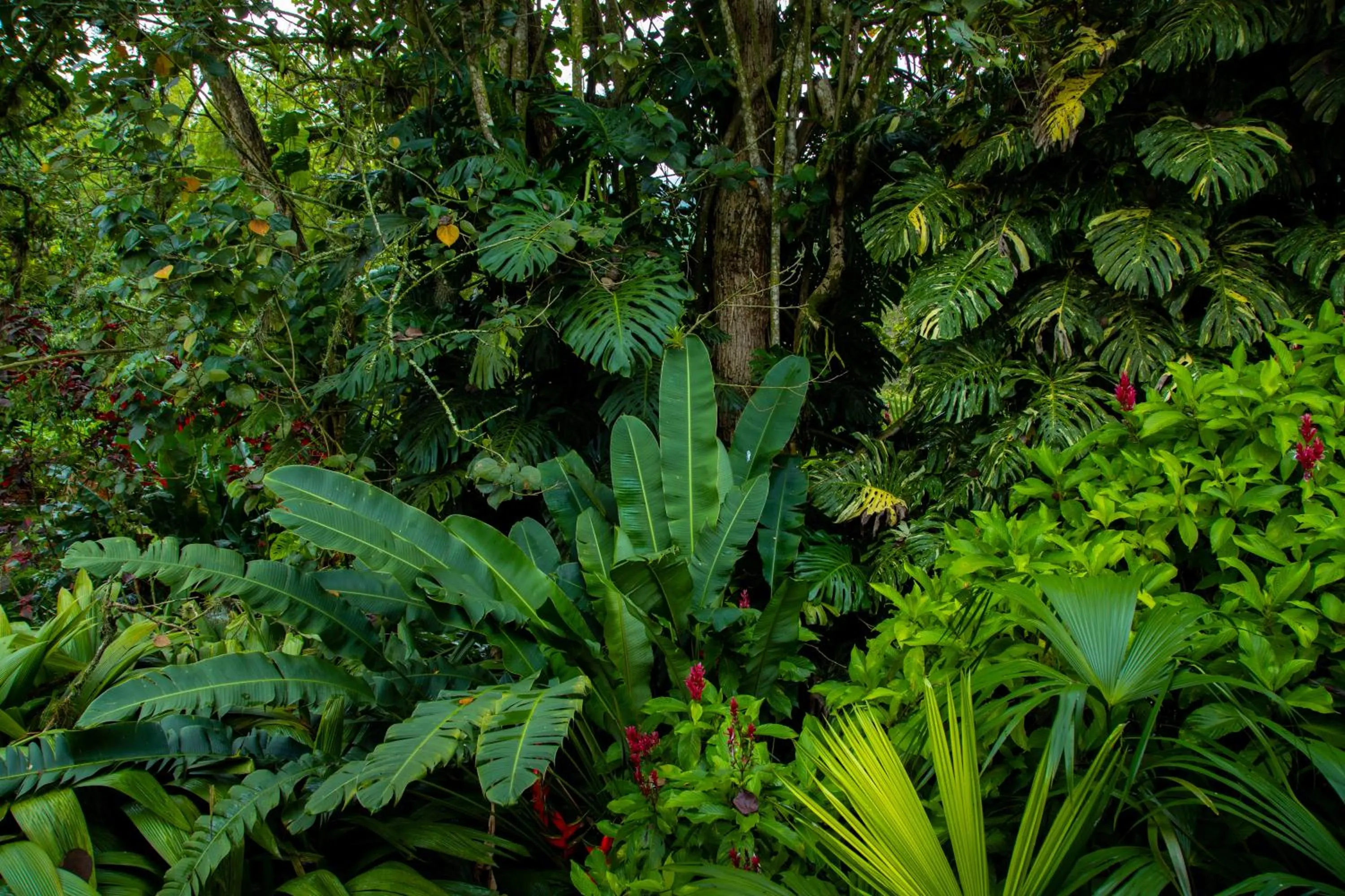 Hacienda Venecia Coffee Farm Hotel