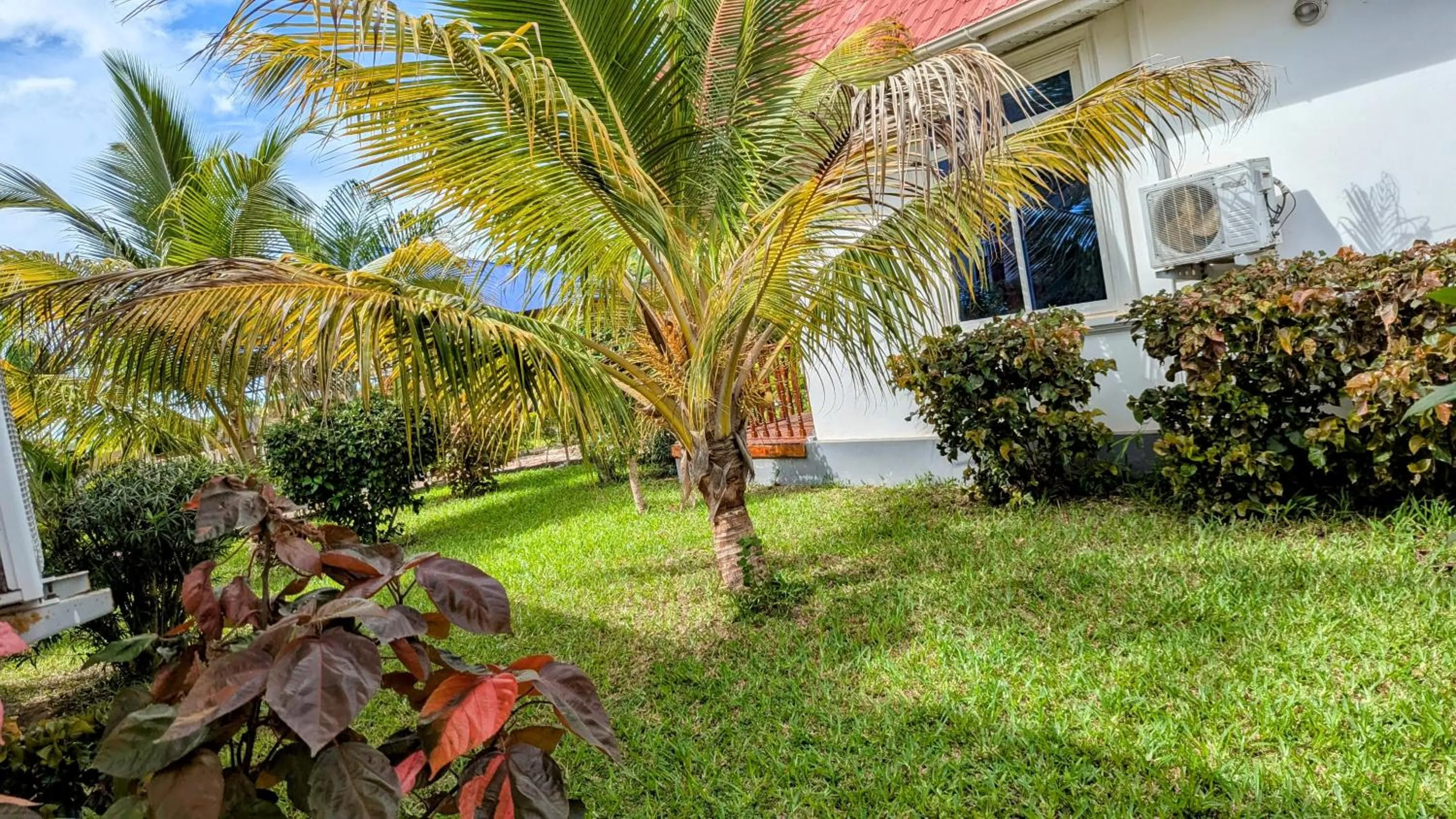 Garden in Crown View Hotel