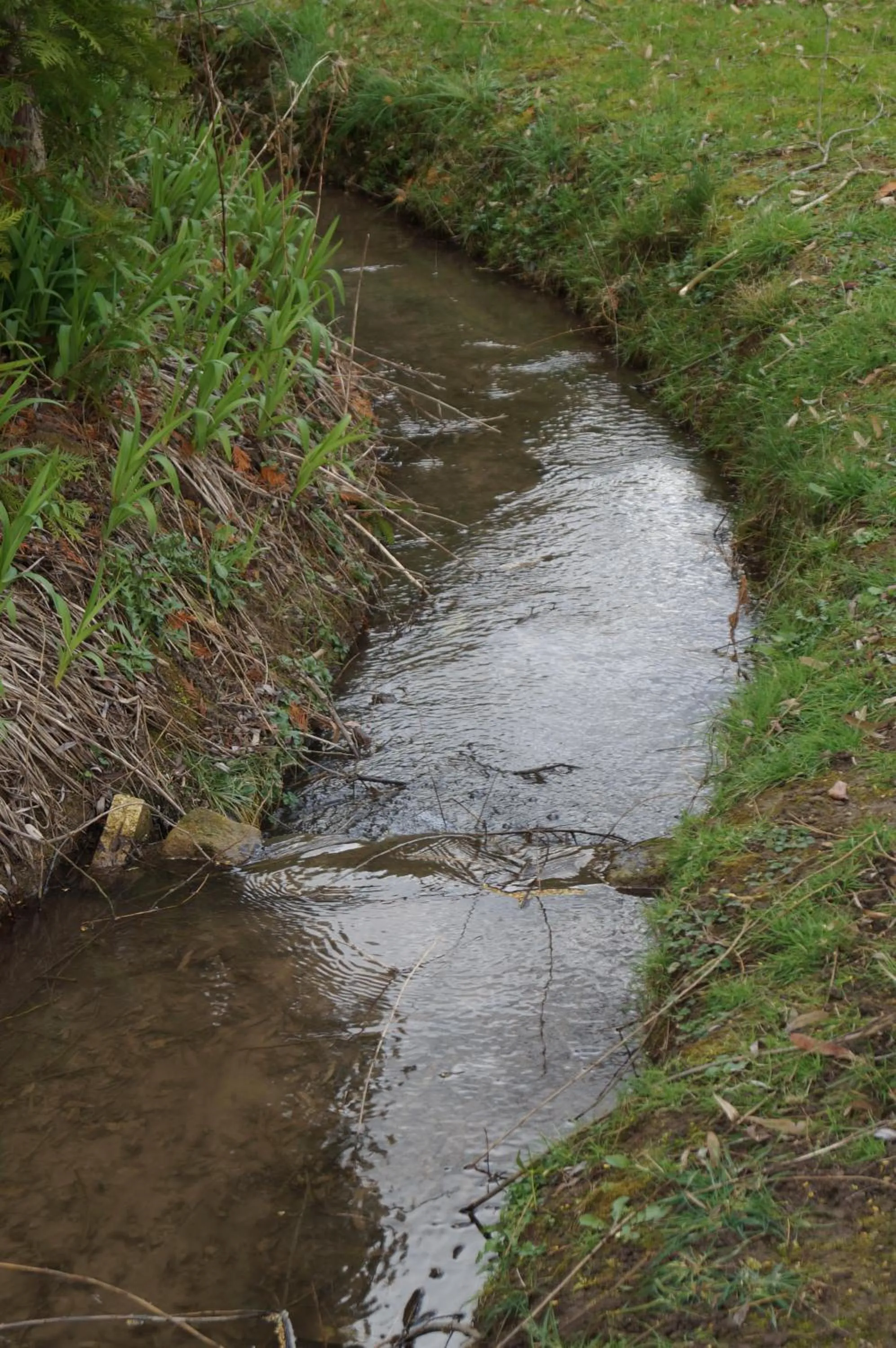 Garden in Le Relais De Dalibray