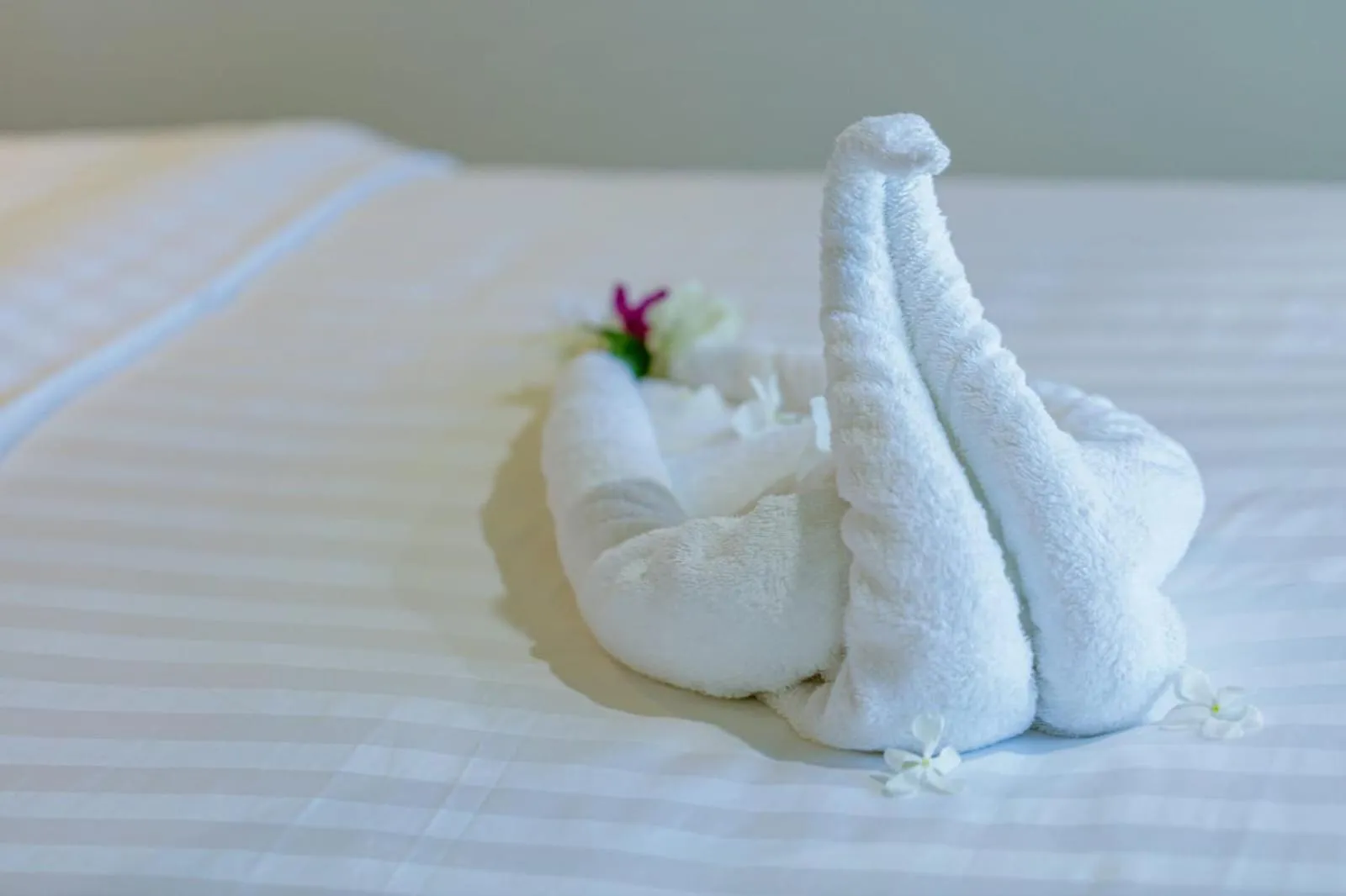 Bed in Royal Villa Fulidhoo