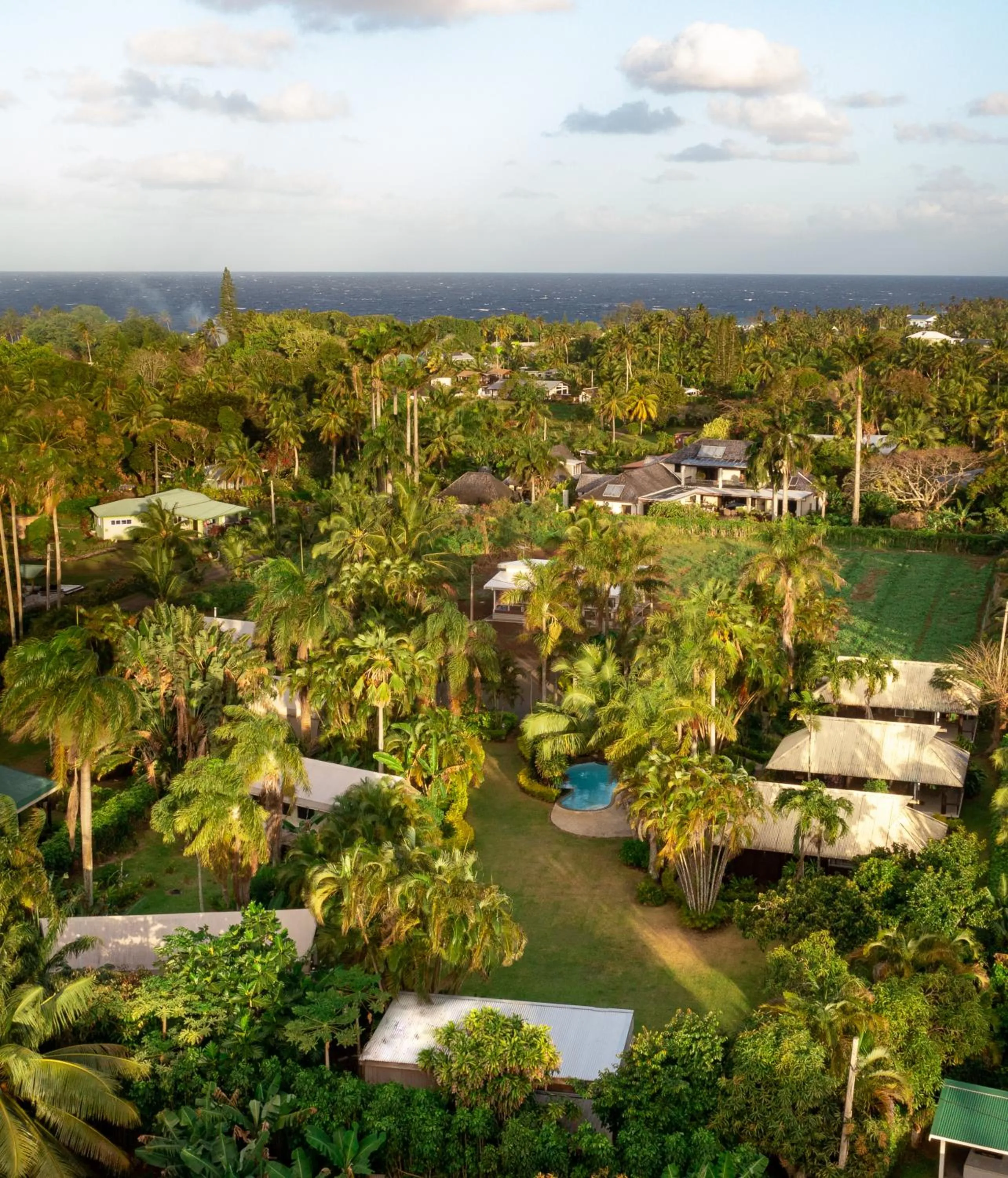 Natural landscape in Ikurangi Eco Retreat