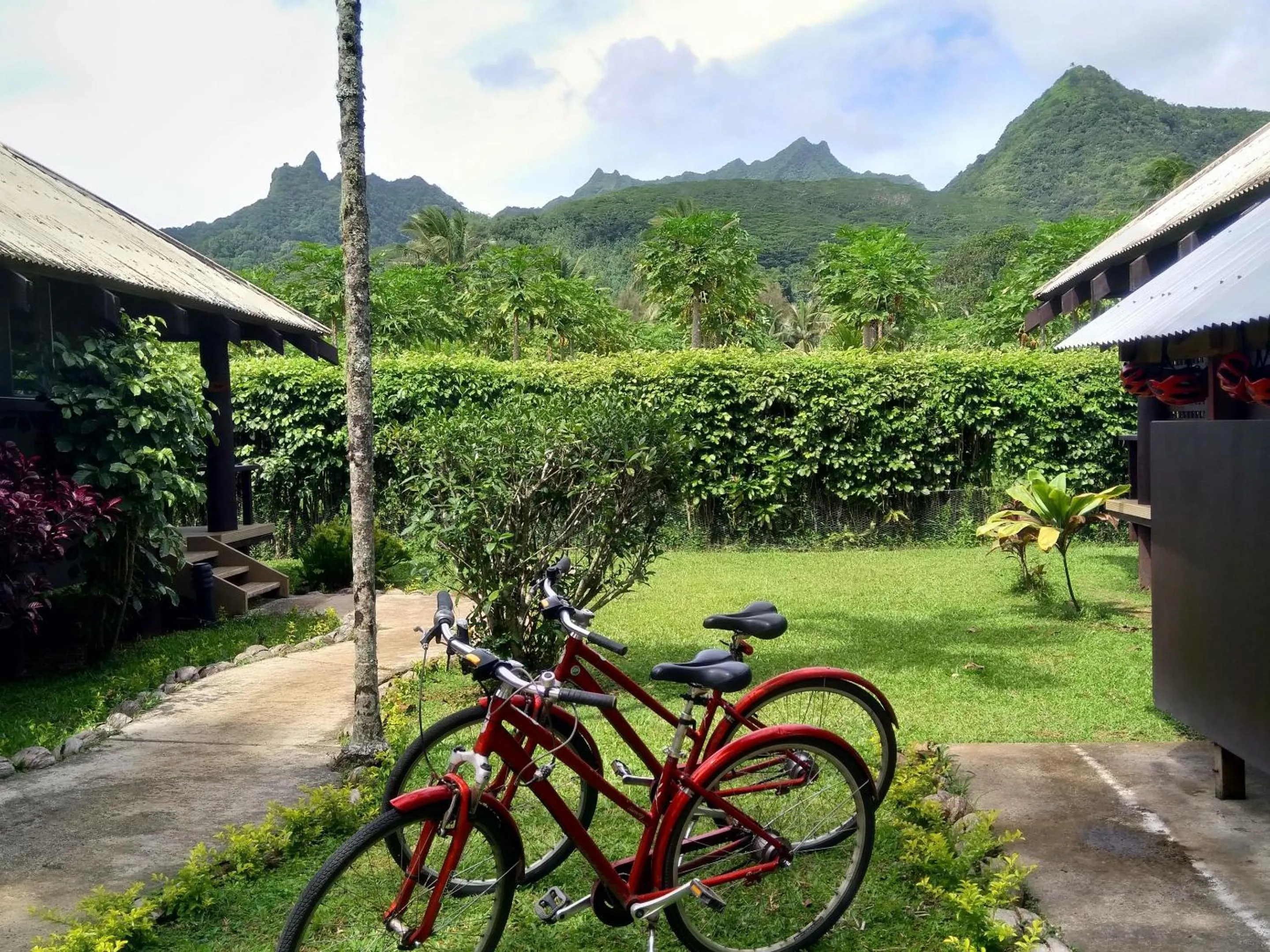 View (from property/room) in Ikurangi Eco Retreat