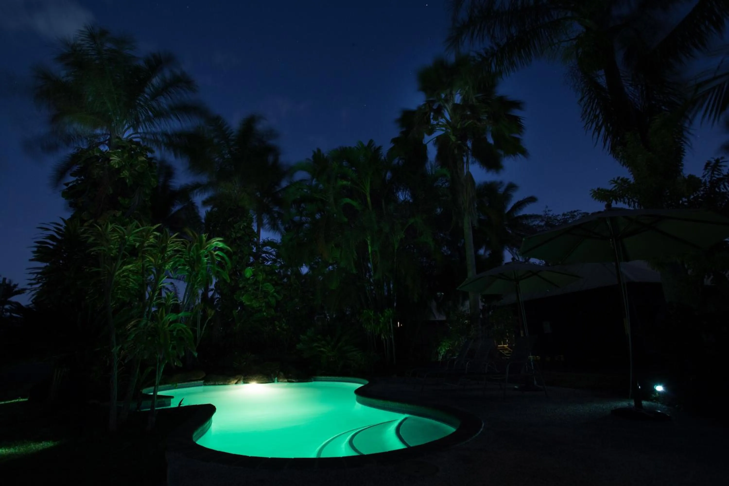 Night in Ikurangi Eco Retreat