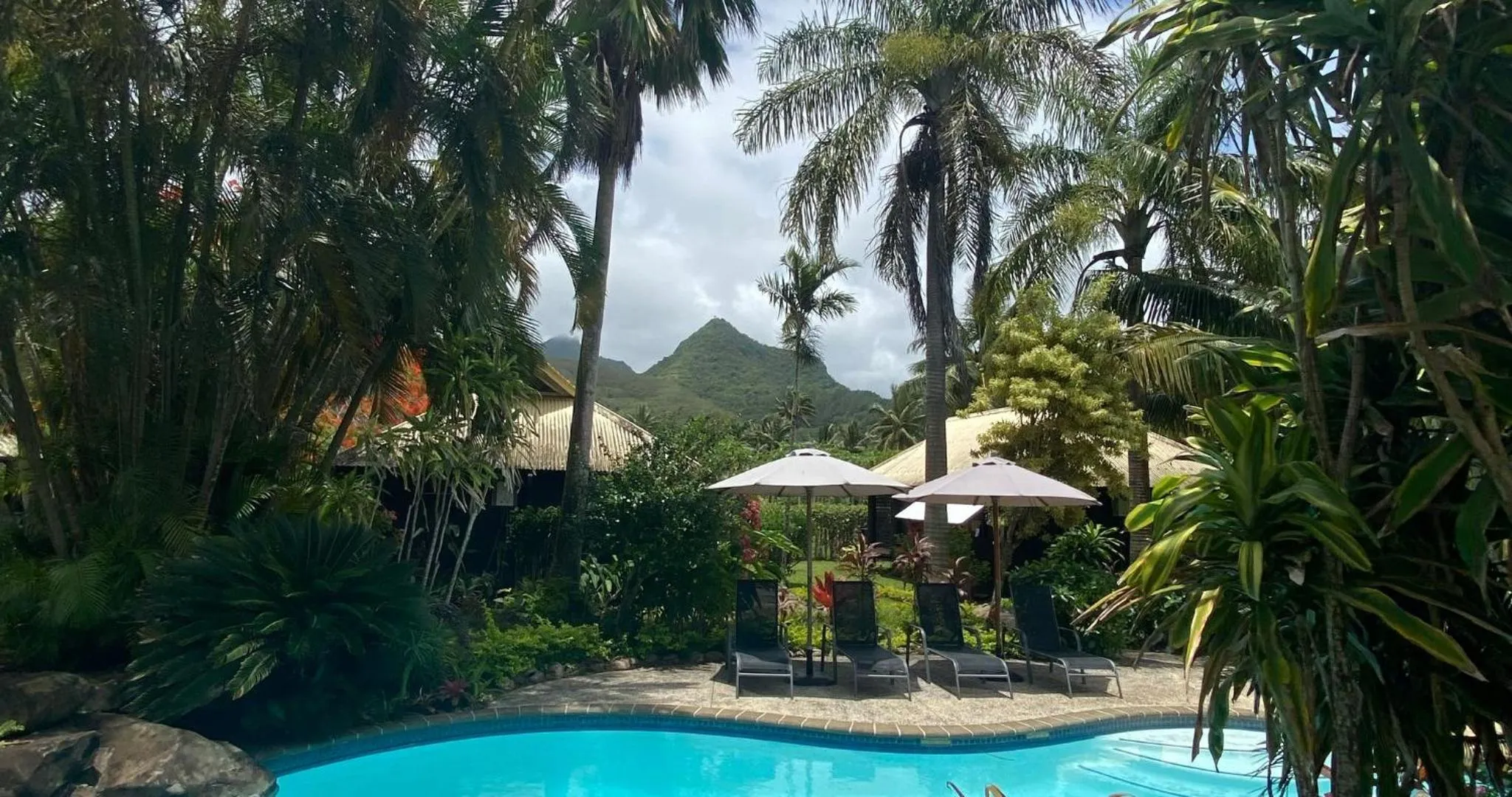 Activities in Ikurangi Eco Retreat