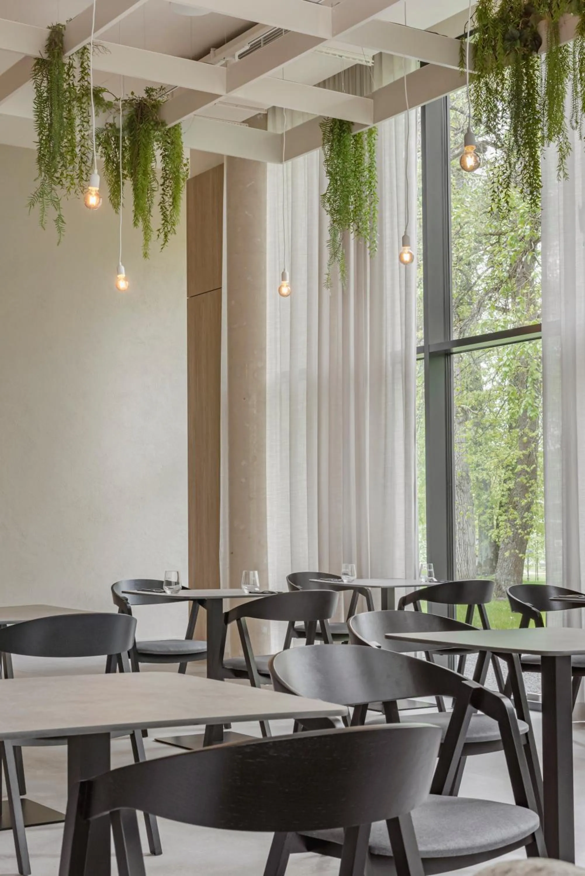 Restaurant/places to eat in LAJOS Hotel