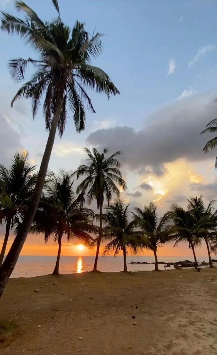 Natural landscape in Peace Lanta Mansion