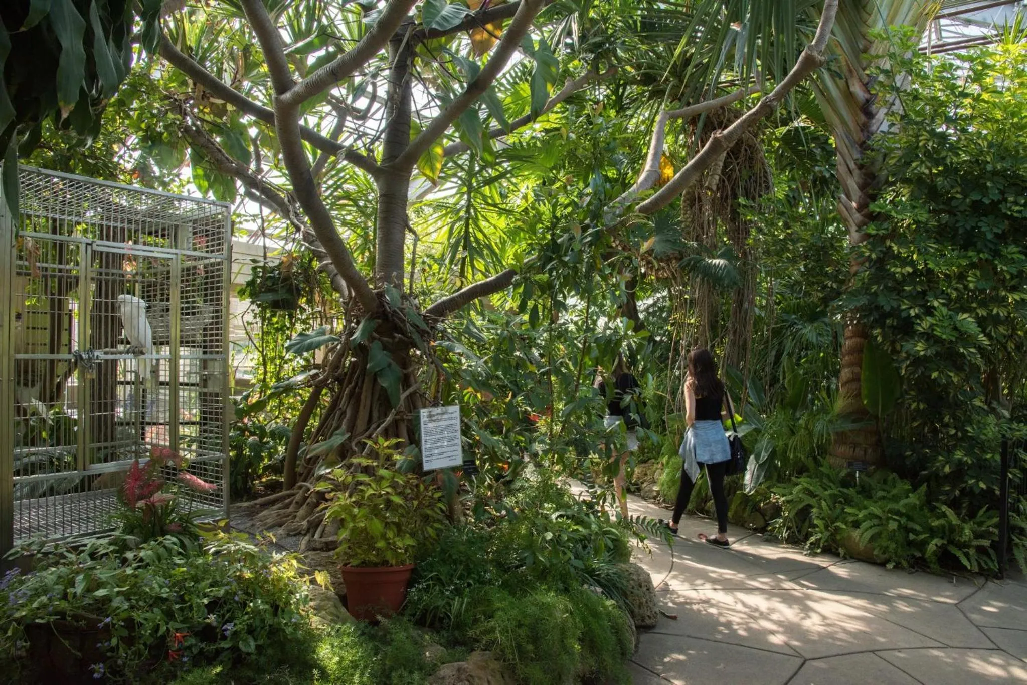 Nearby landmark in Staybridge Suites Toronto Airport East by IHG