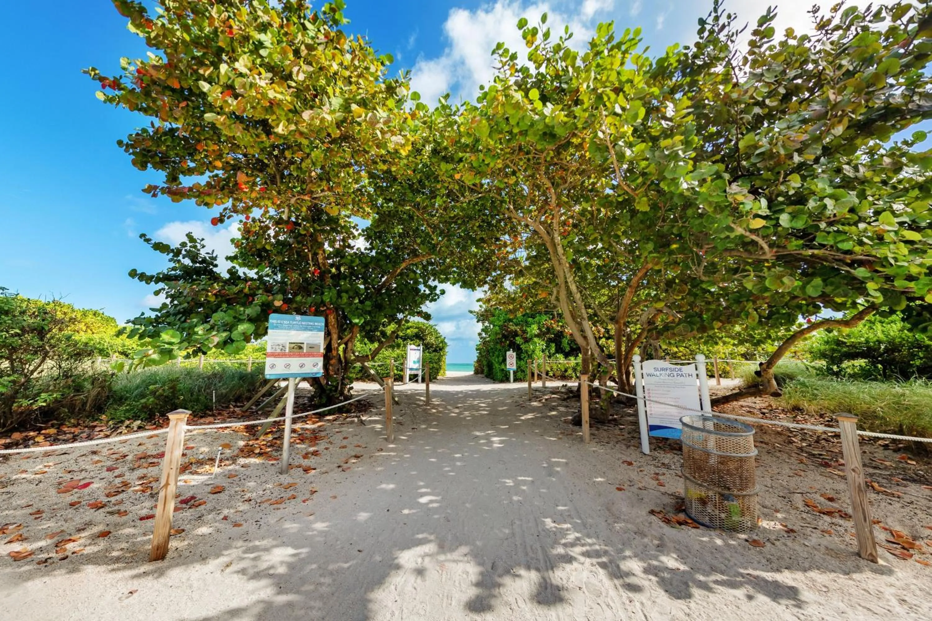 Beach in Residence Inn by Marriott Miami Beach Surfside