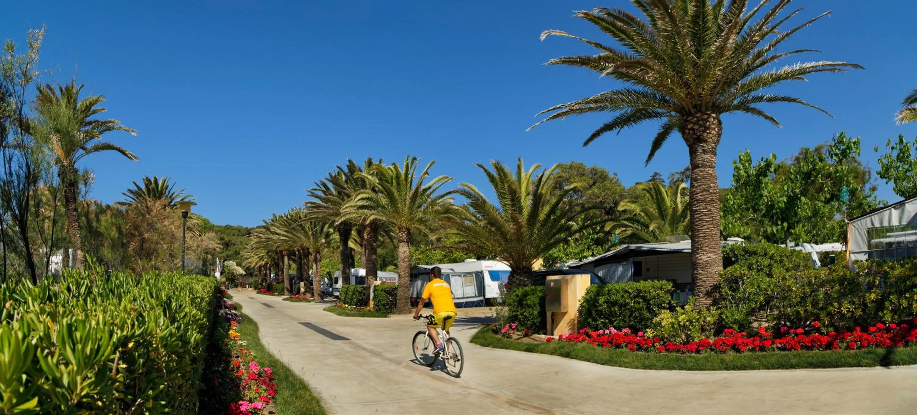 Area and facilities in Tamarit Beach Resort