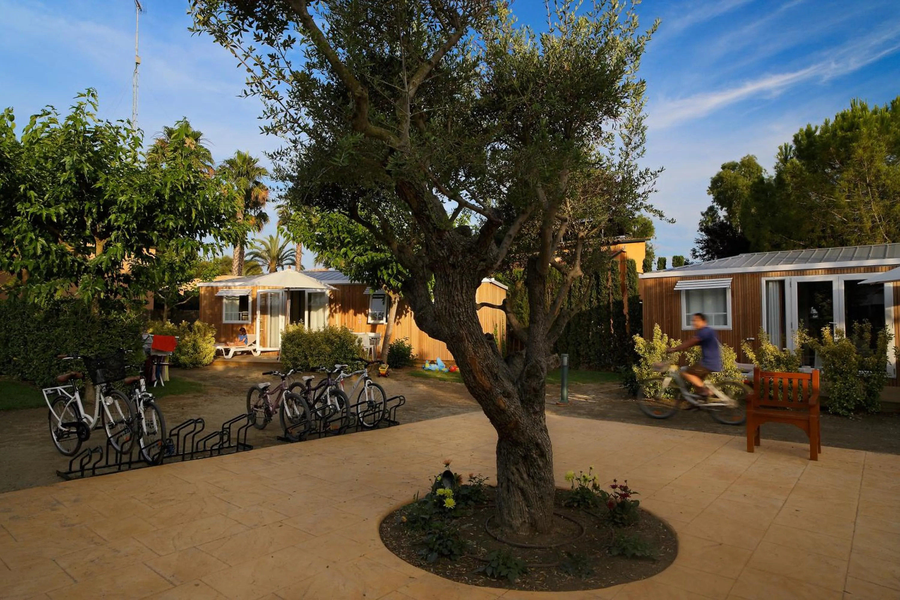 Area and facilities in Tamarit Beach Resort