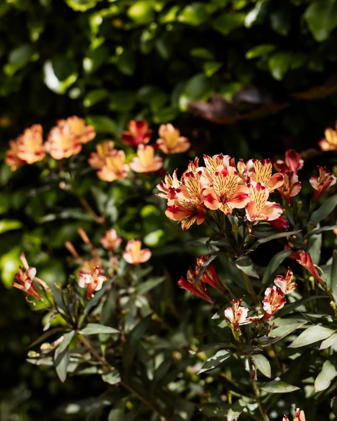 Property building in The Inn At Kingsbarns