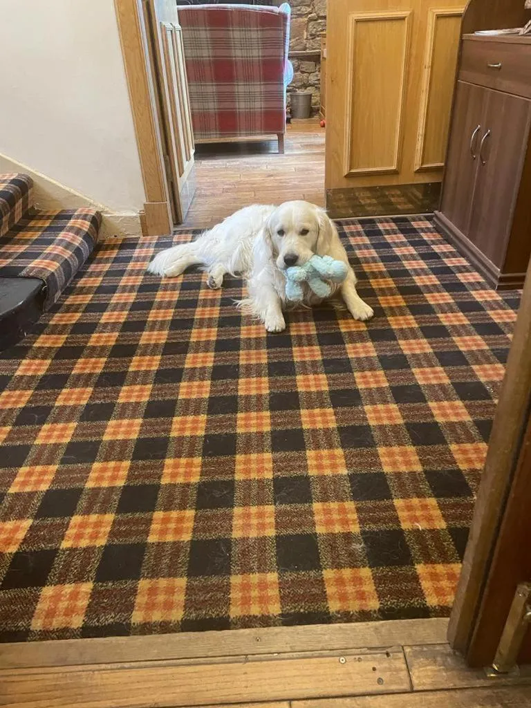 Other, Bed in The Inn At Kingsbarns