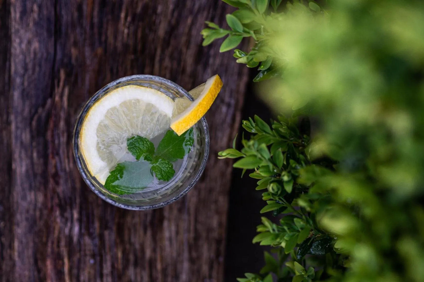 Summer in Kurort Stara Wędzarnia