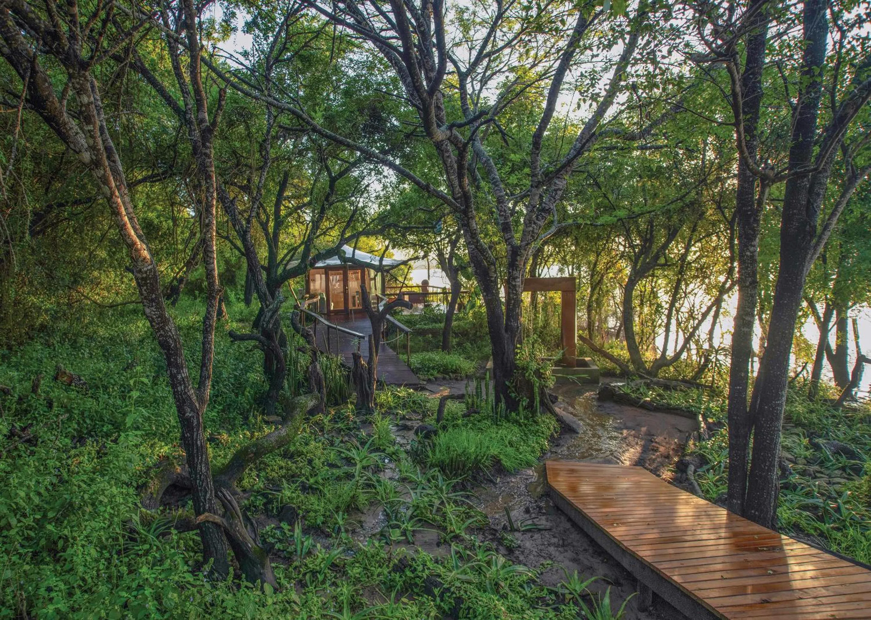 Spring in Nibela Lake Lodge by Dream Resorts