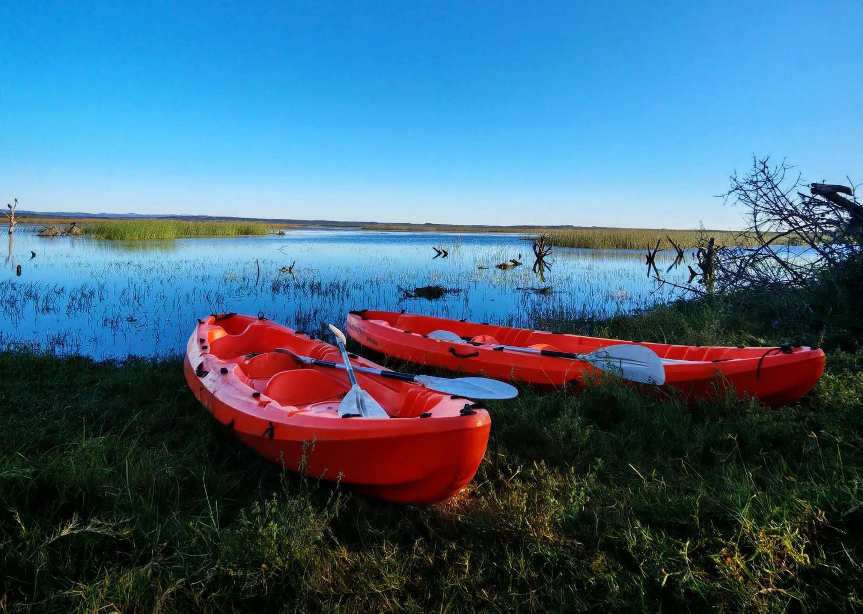 Day in Malkoha Lake St Lucia