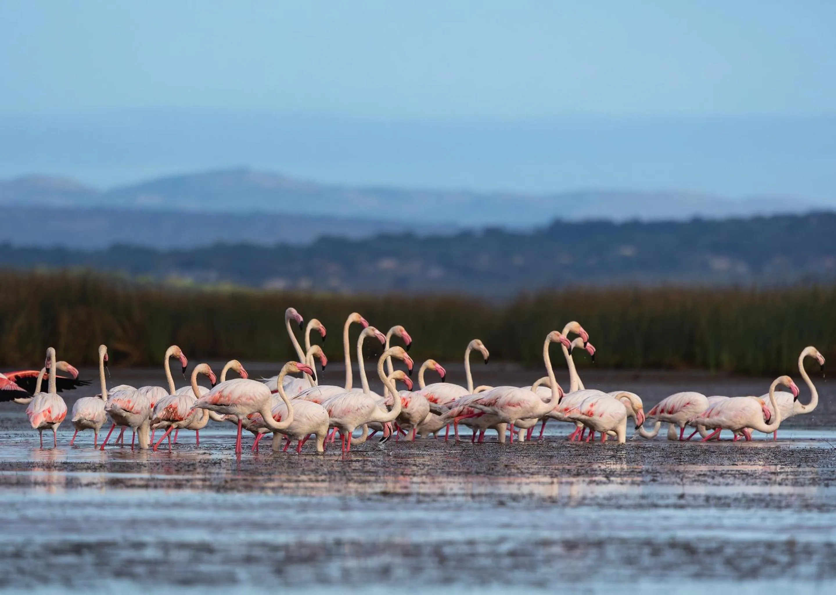 Day in Malkoha Lake St Lucia