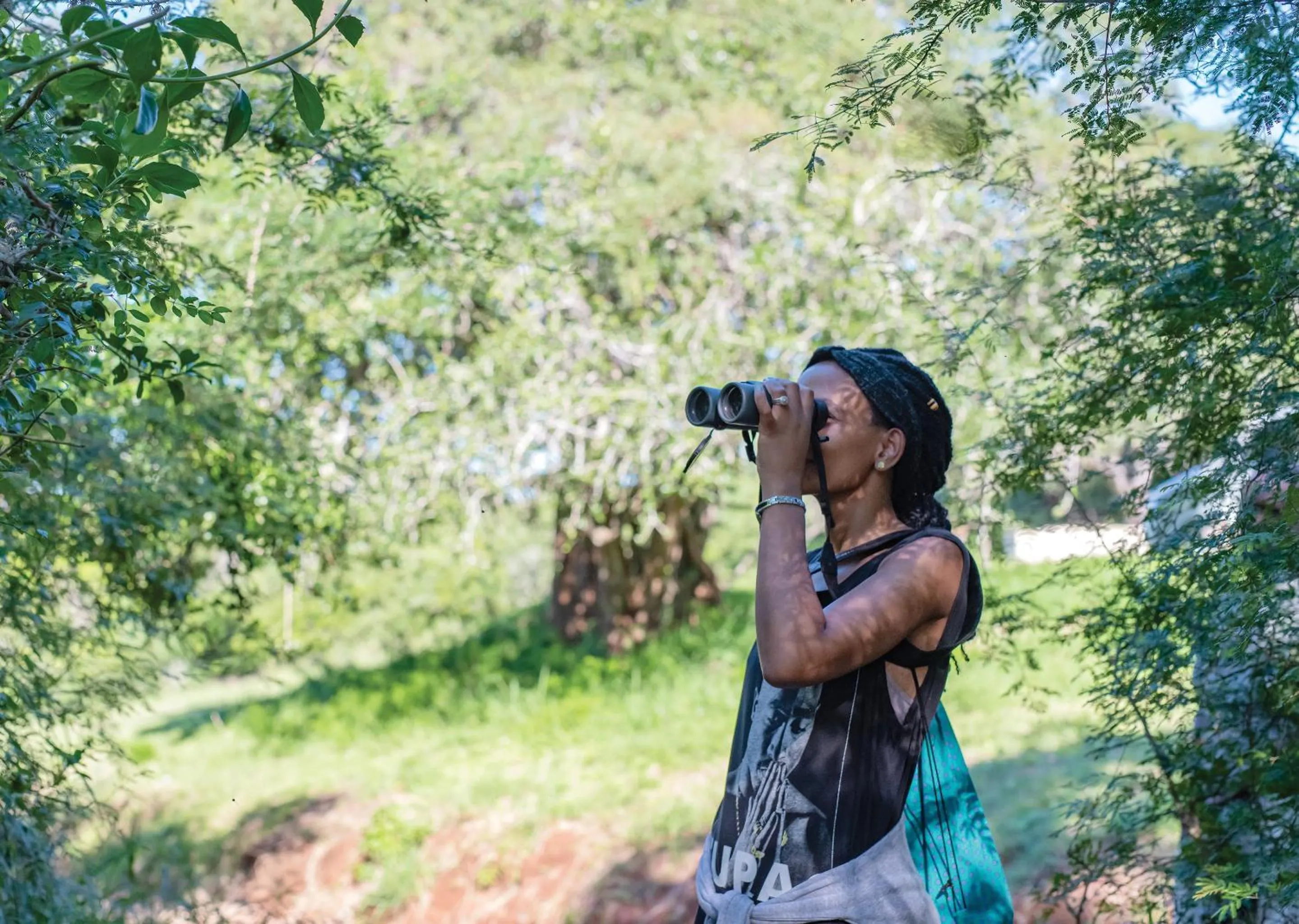 Spring in Nibela Lake Lodge by Dream Resorts