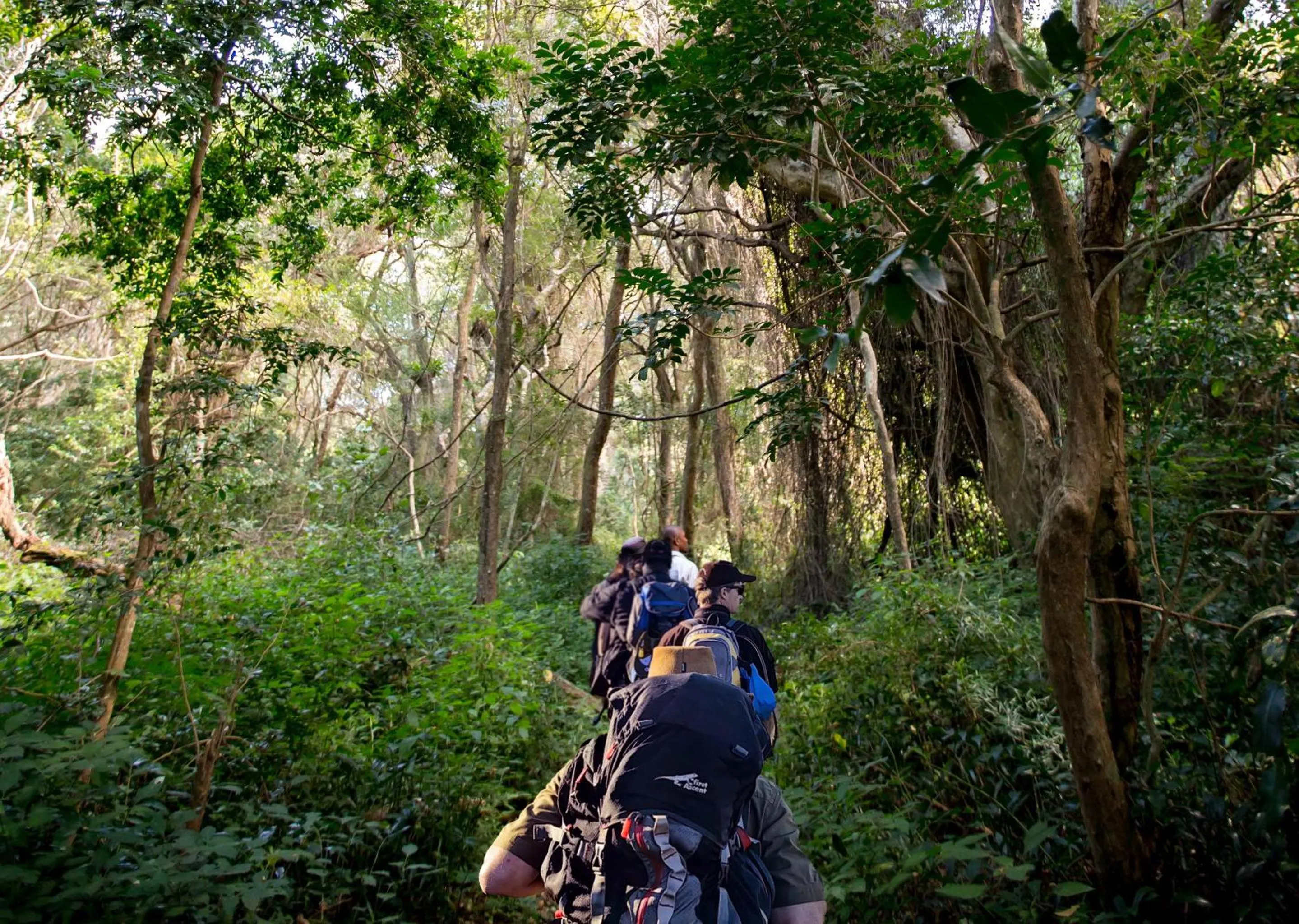 Spring in Malkoha Lake St Lucia