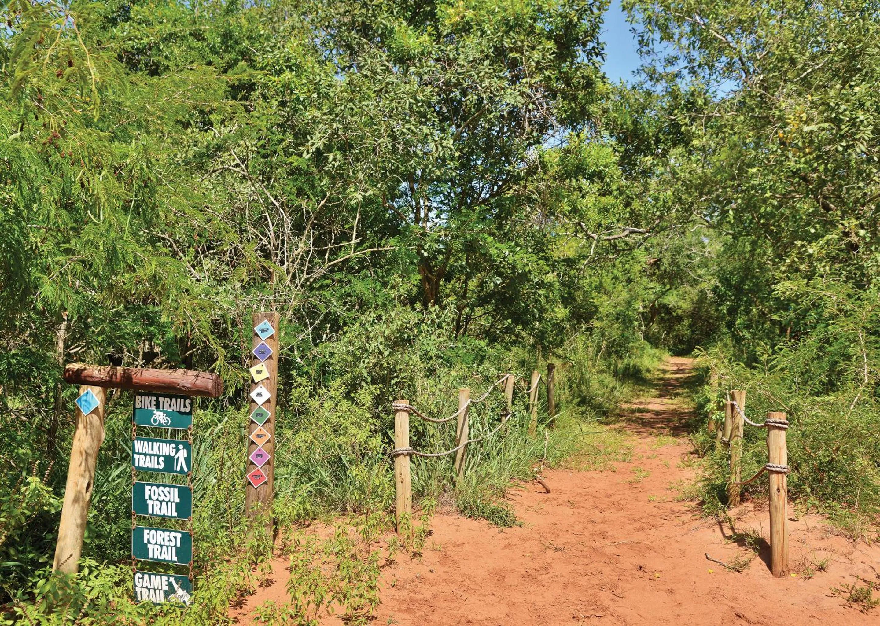 Spring in Nibela Lake Lodge by Dream Resorts