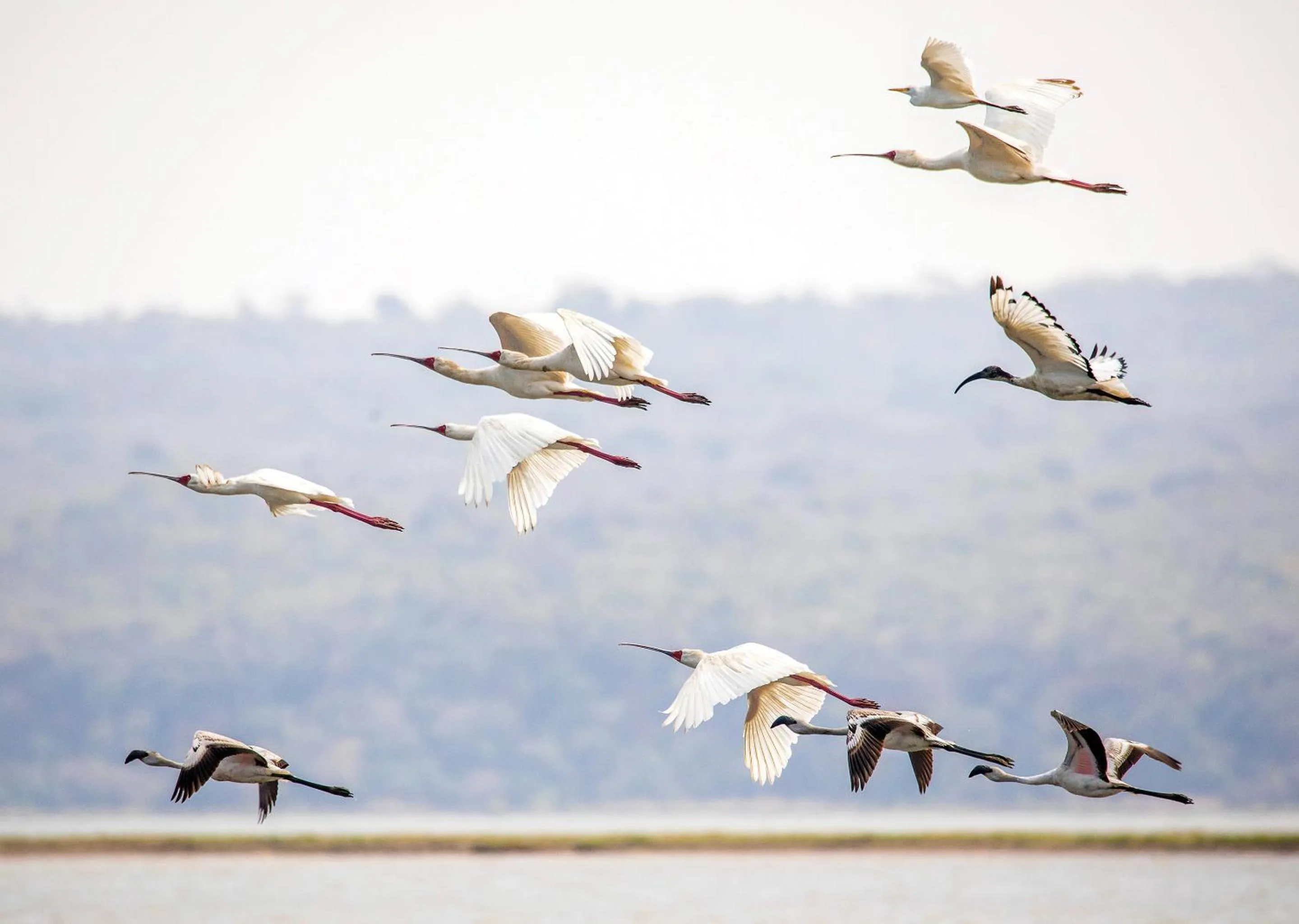 Day in Nibela Lake Lodge by Dream Resorts