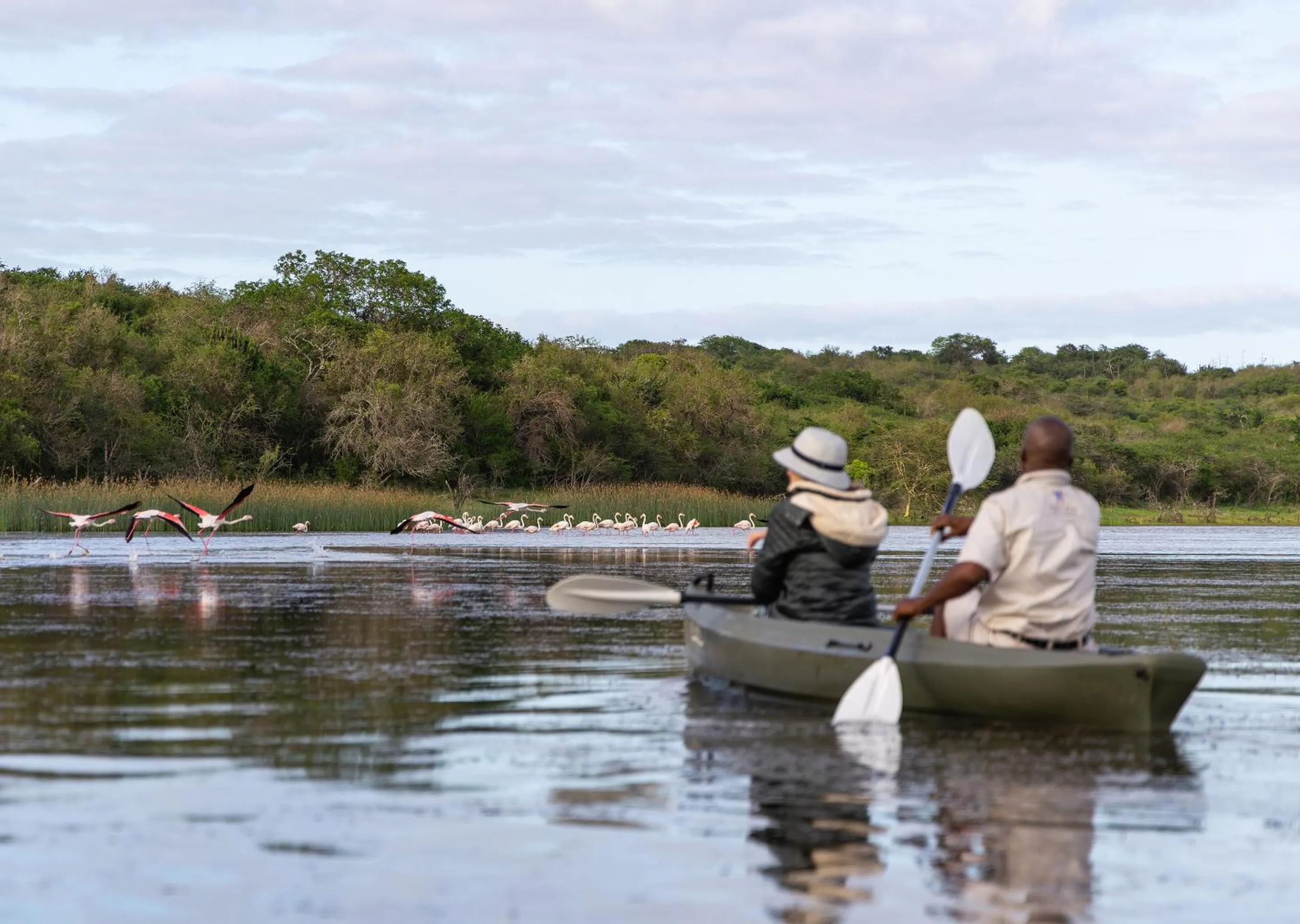 Day in Malkoha Lake St Lucia