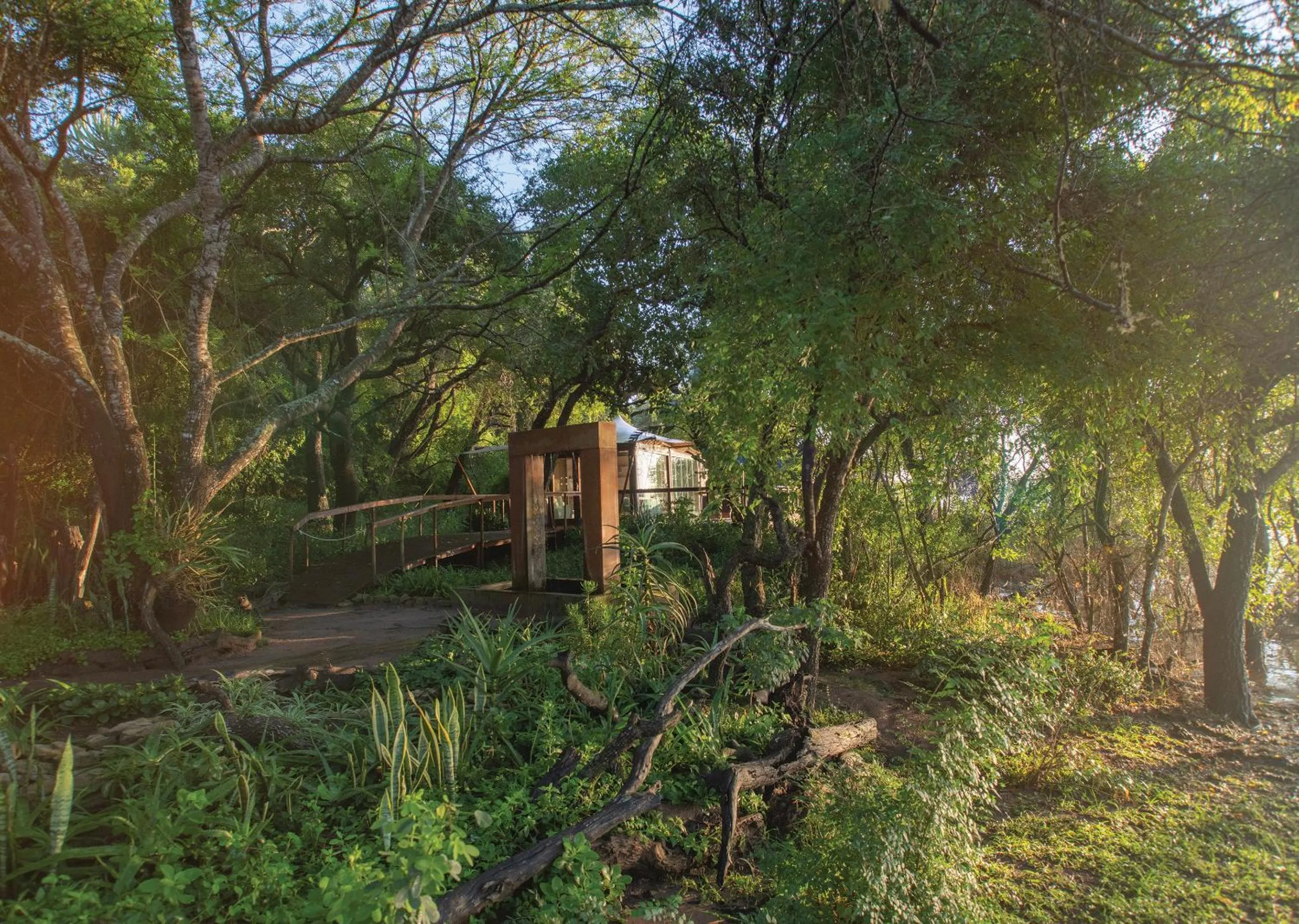 Spring in Nibela Lake Lodge by Dream Resorts