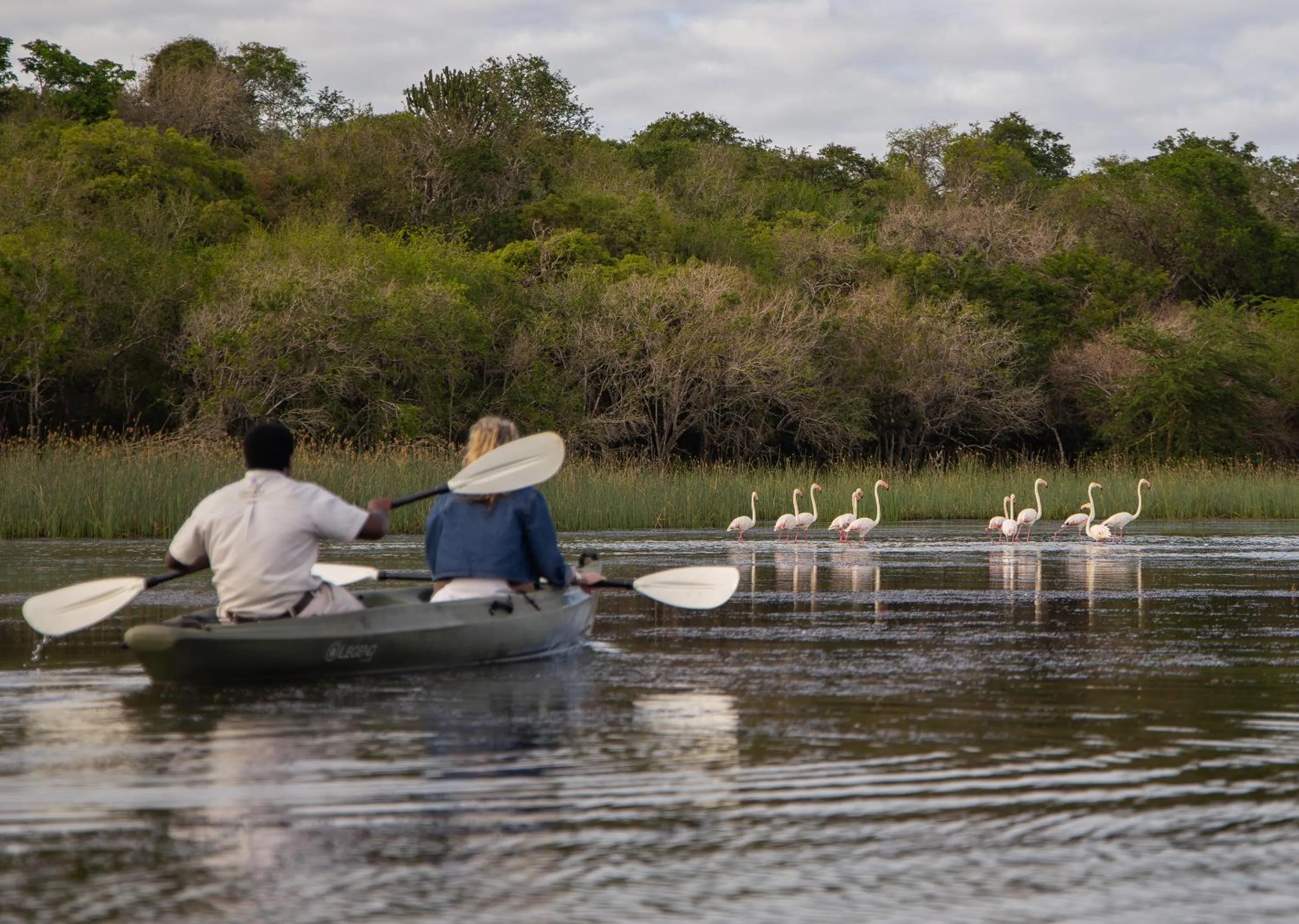 Day in Malkoha Lake St Lucia