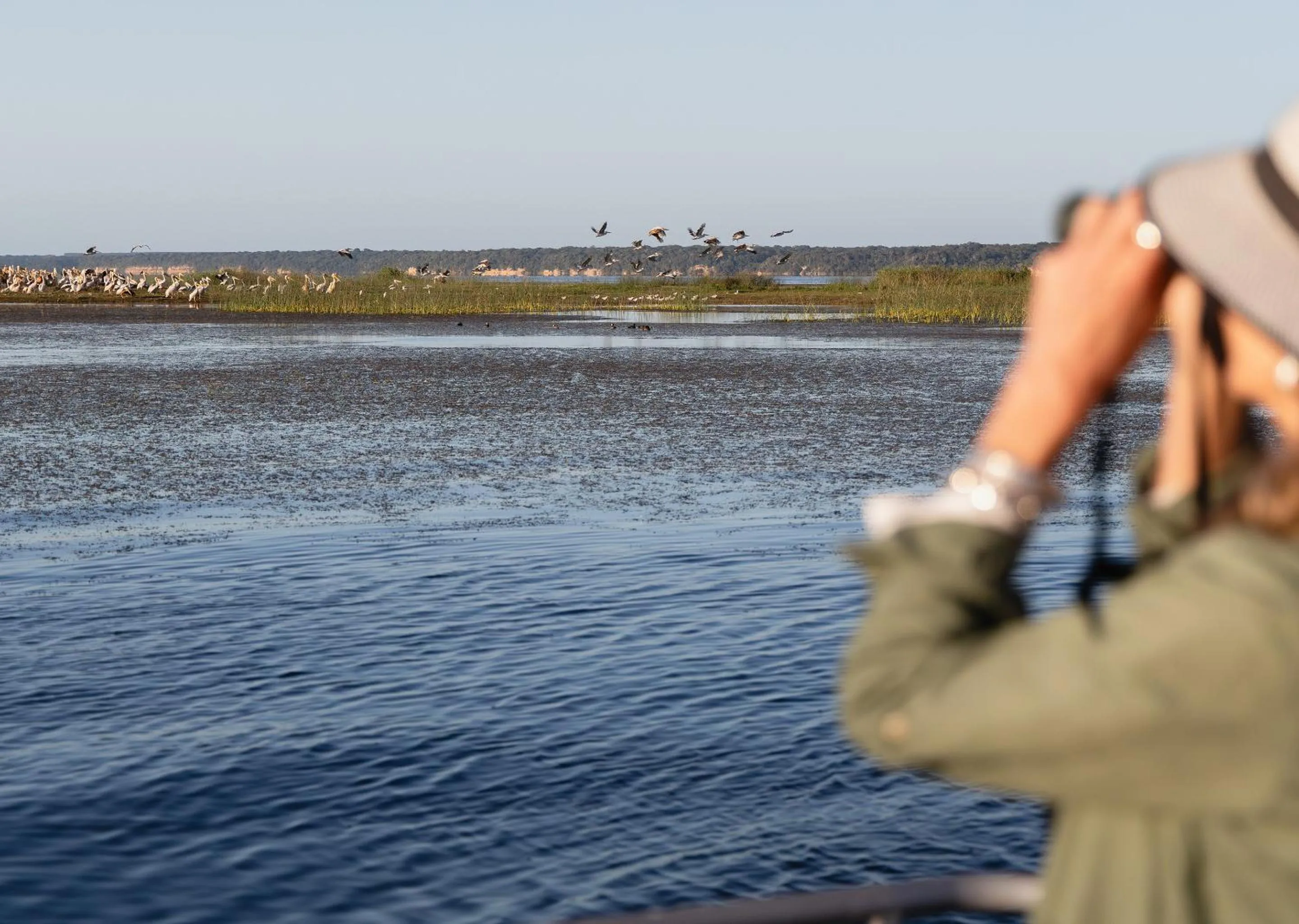 Day in Malkoha Lake St Lucia
