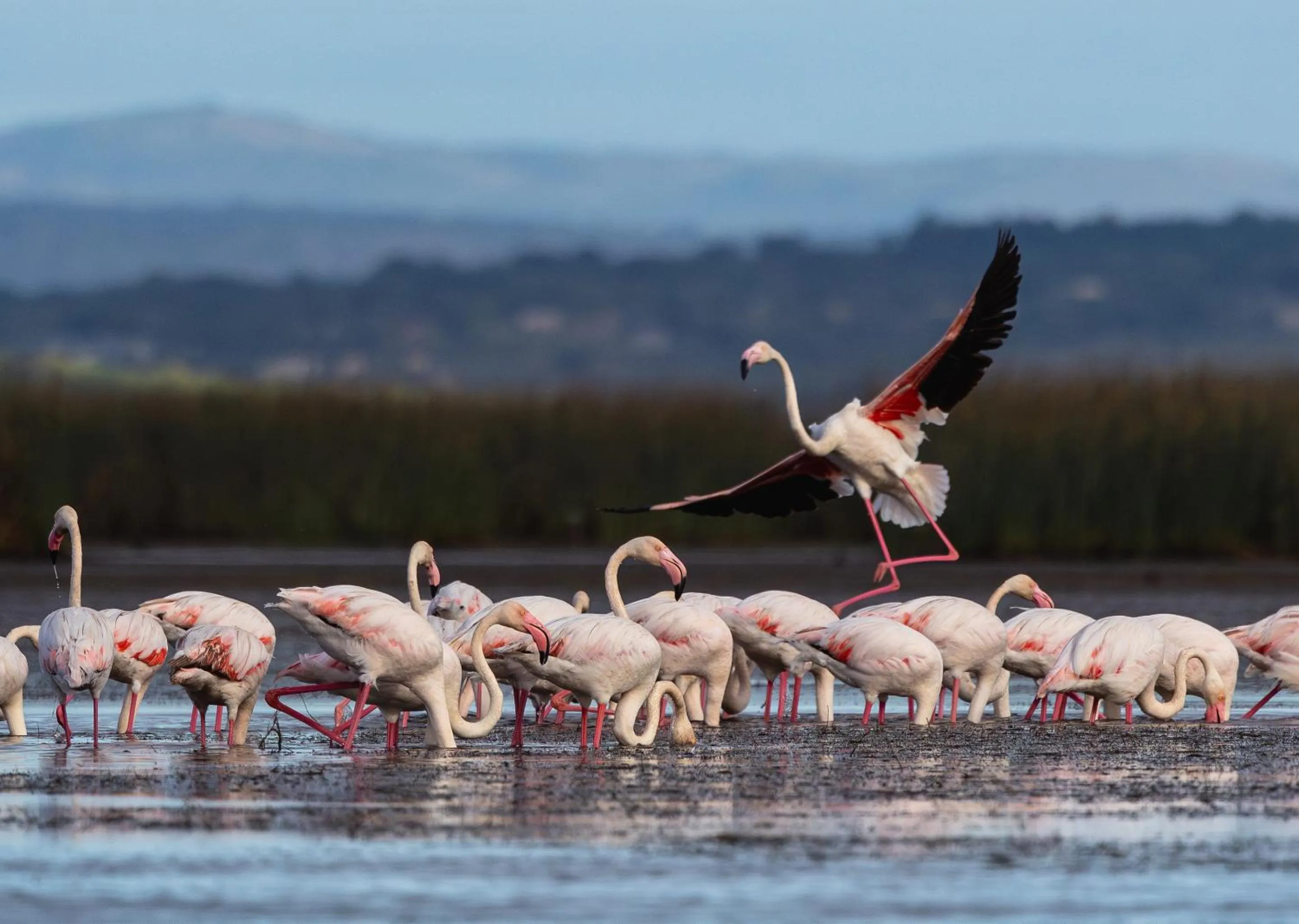 Day in Malkoha Lake St Lucia
