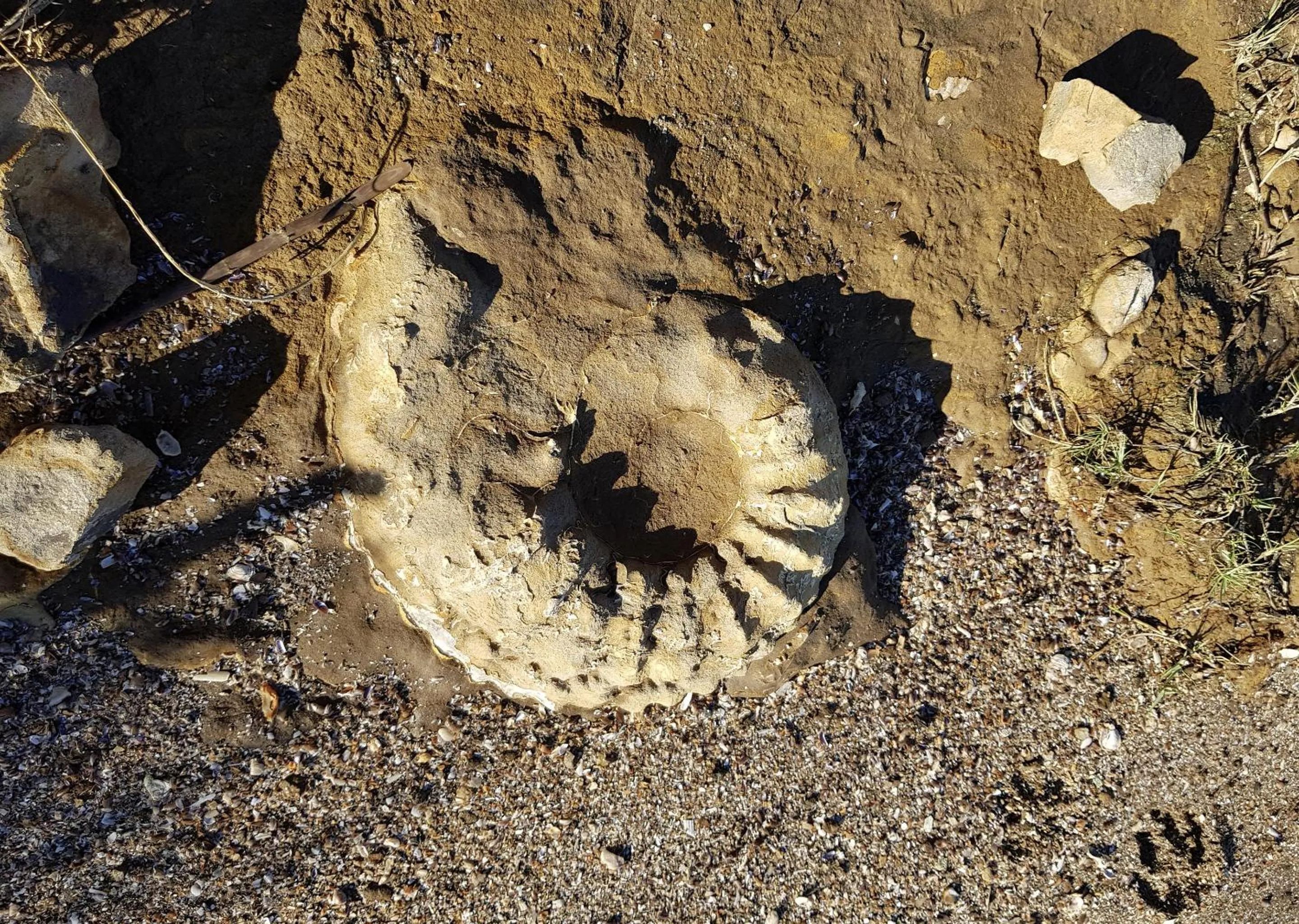 Day in Malkoha Lake St Lucia