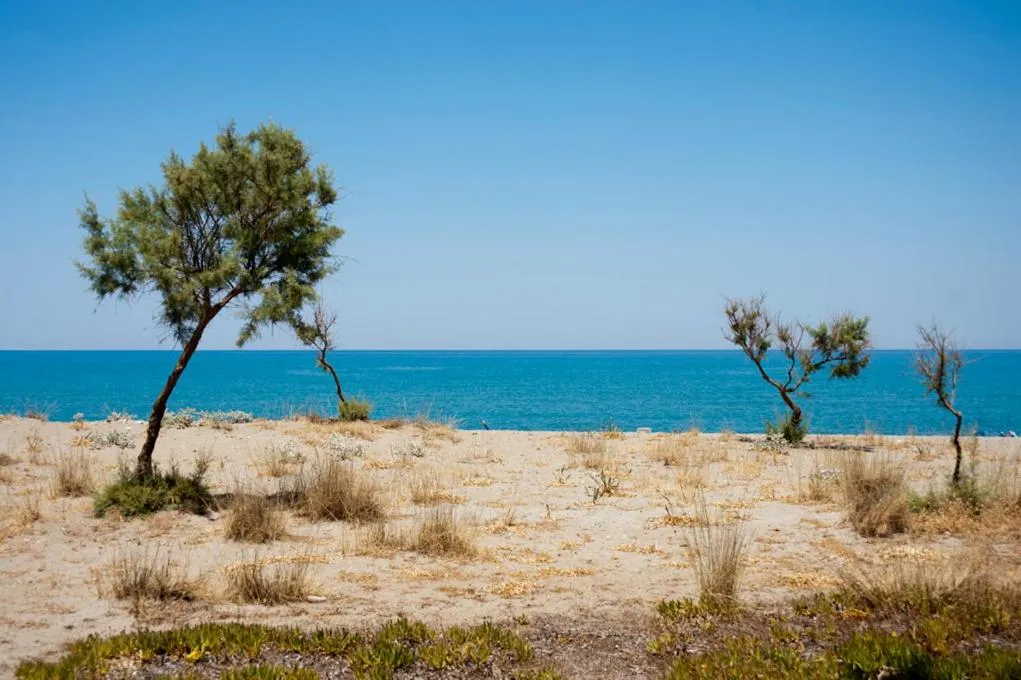 Day in Lito Beach Hotel