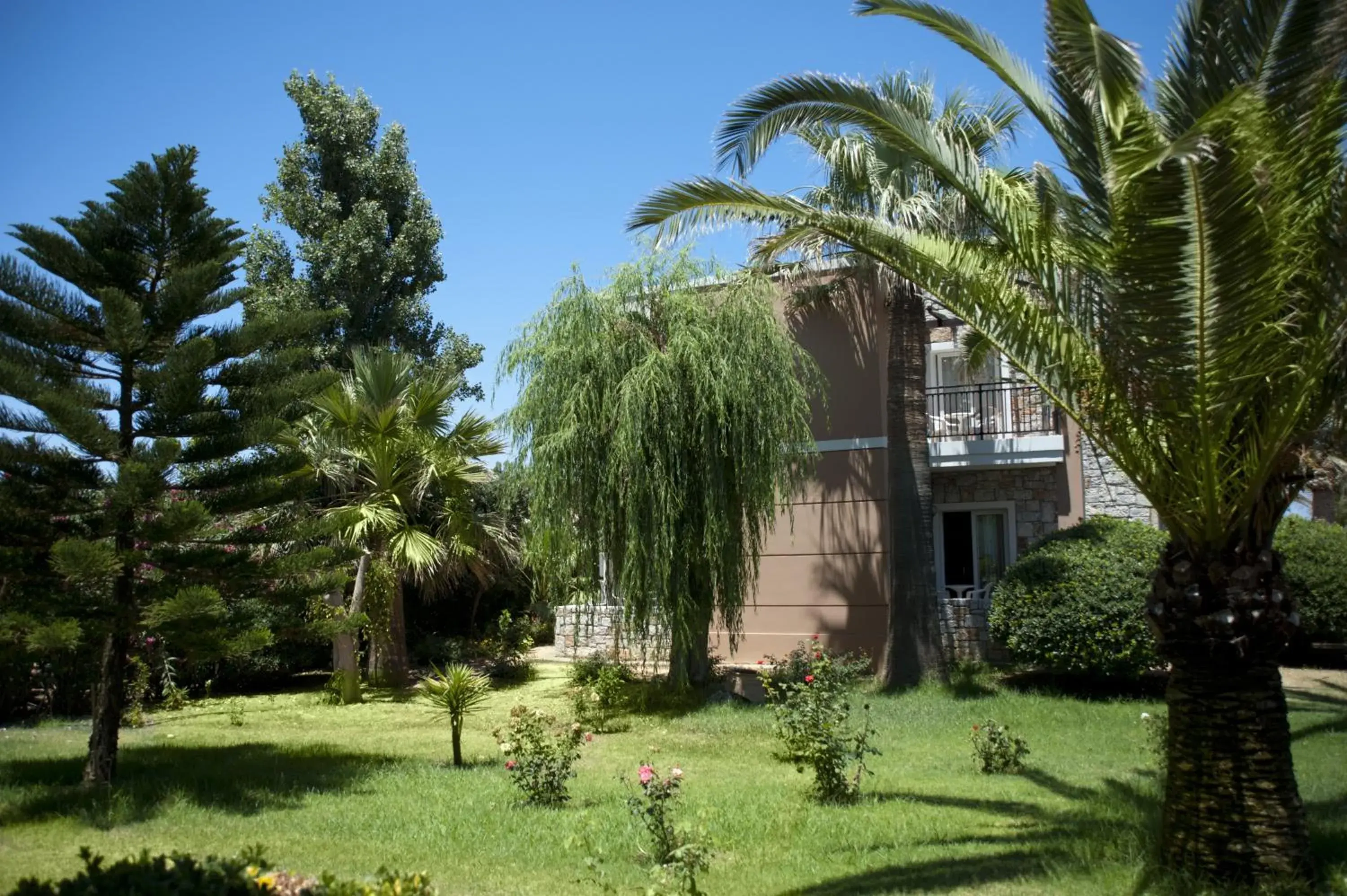 Property building in Lito Beach Hotel Property building in Lito Beach Hotel