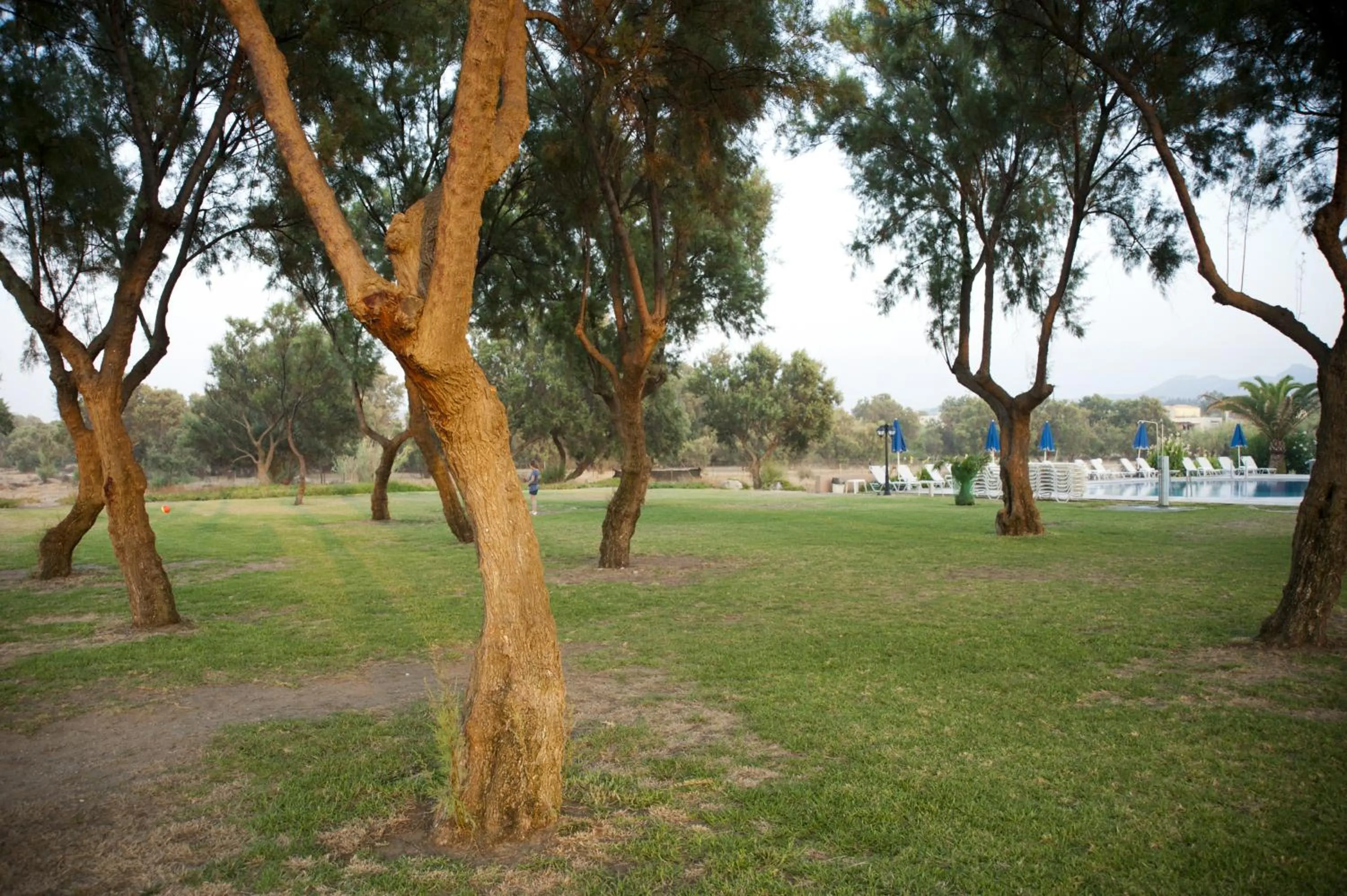 Spring in Lito Beach Hotel