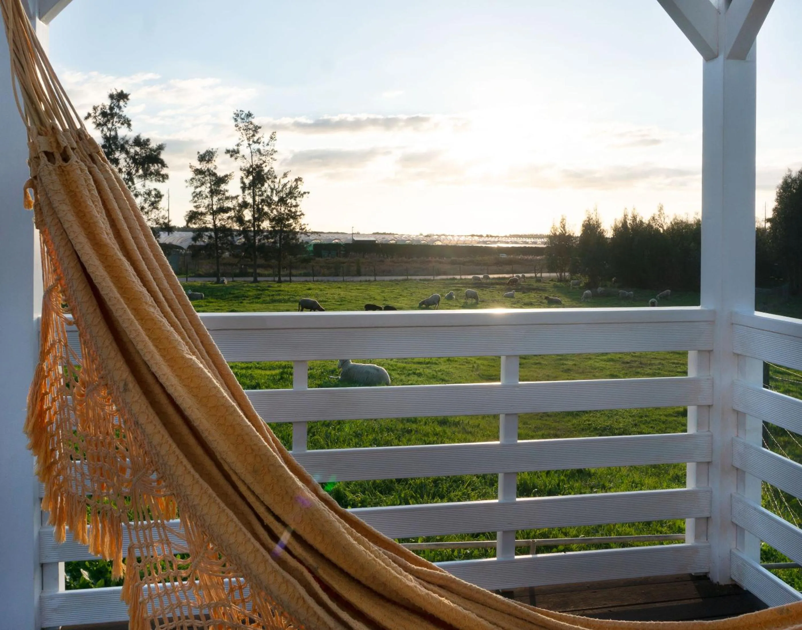 Patio in Herdade do Kuanza