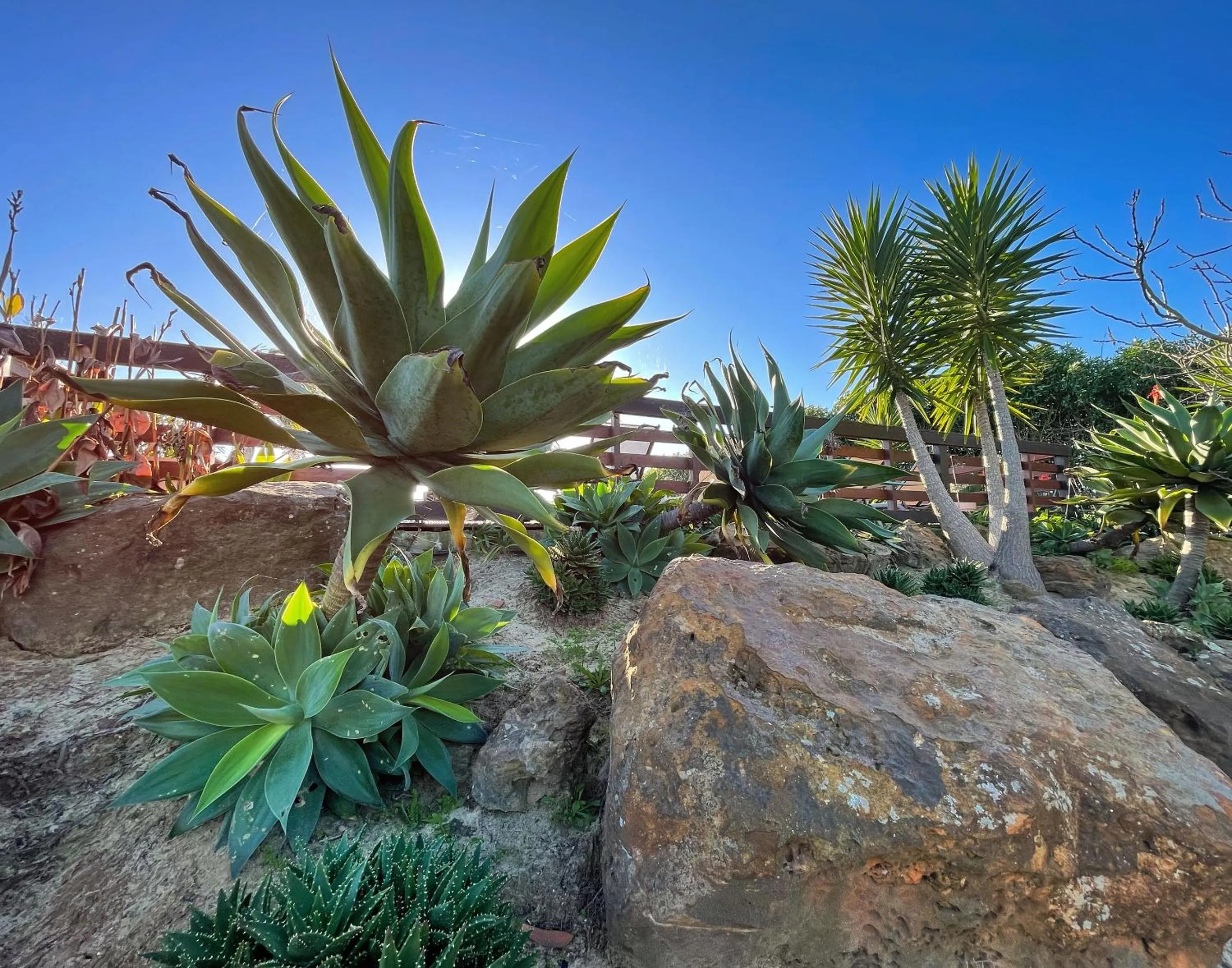 Garden in Herdade do Kuanza