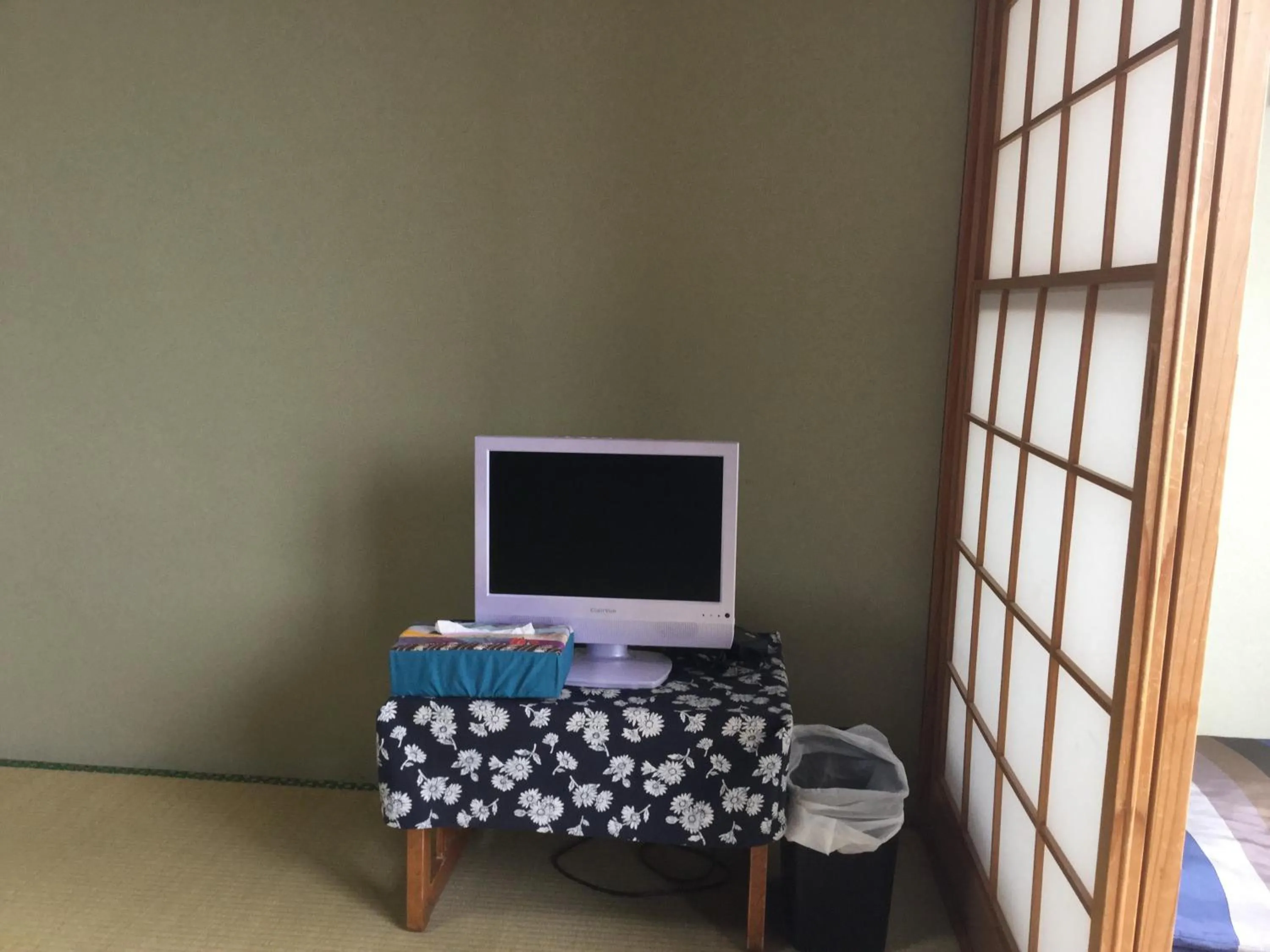 TV and multimedia in Natsumi no Sato
