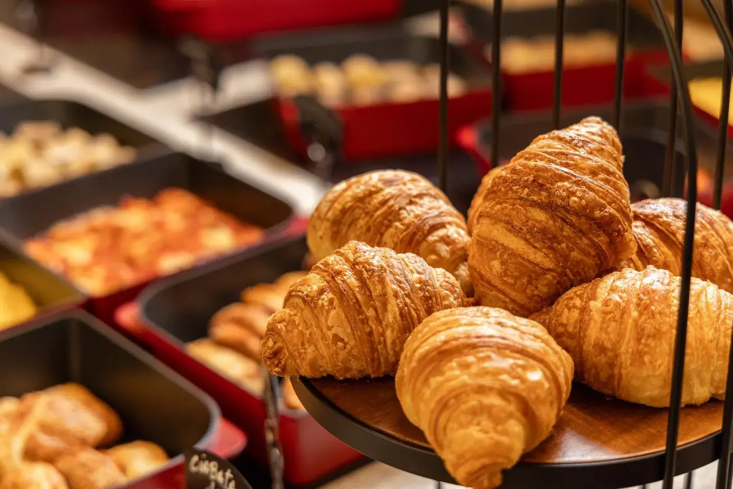 Food and drinks in Sais Beach Living Hotel Food and drinks in Sais Beach Living Hotel