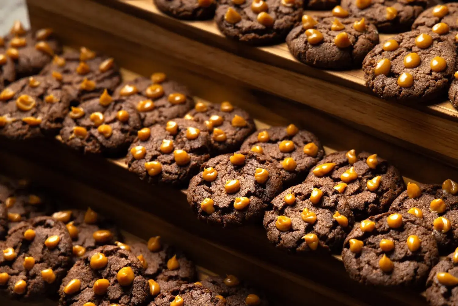 Food and drinks in Sais Beach Living Hotel Food and drinks in Sais Beach Living Hotel