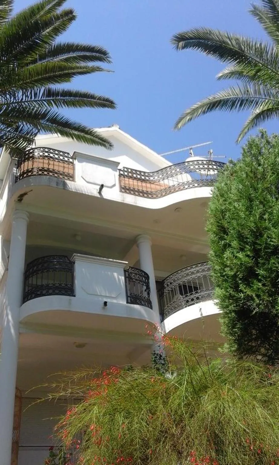 Property building in Apartments Dikan
