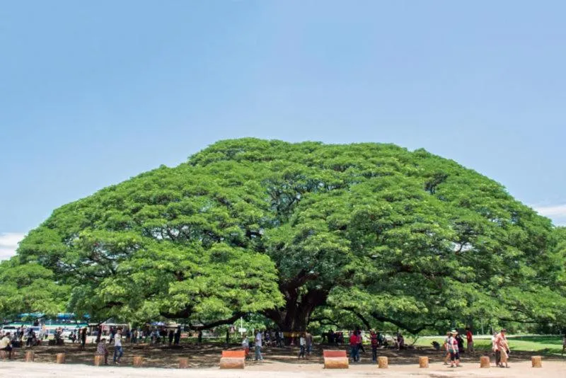 Nearby landmark in The Bridge Residence Hotel