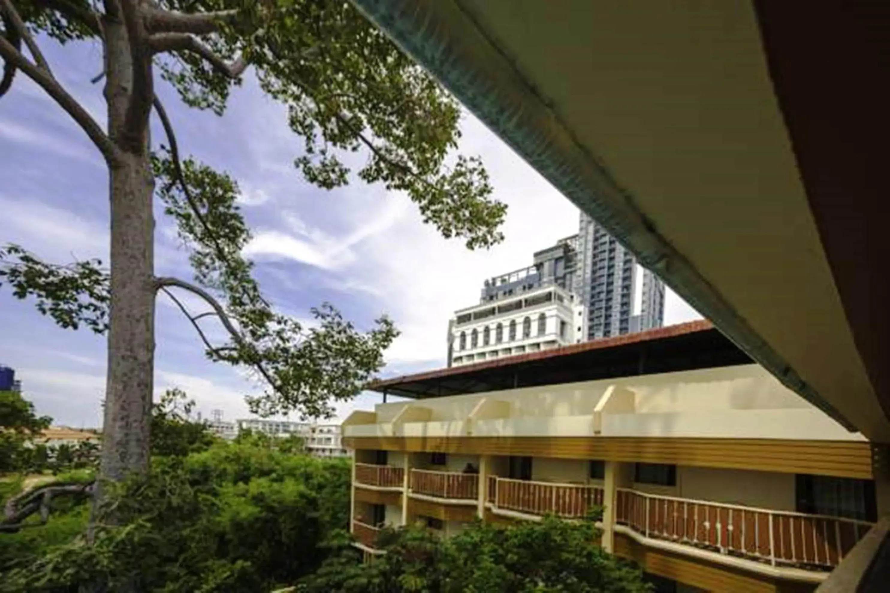 Garden view in Twin Palms Resort Pattaya, SHA Extra Plus Certified Garden view in Twin Palms Resort Pattaya, SHA Extra Plus Certified