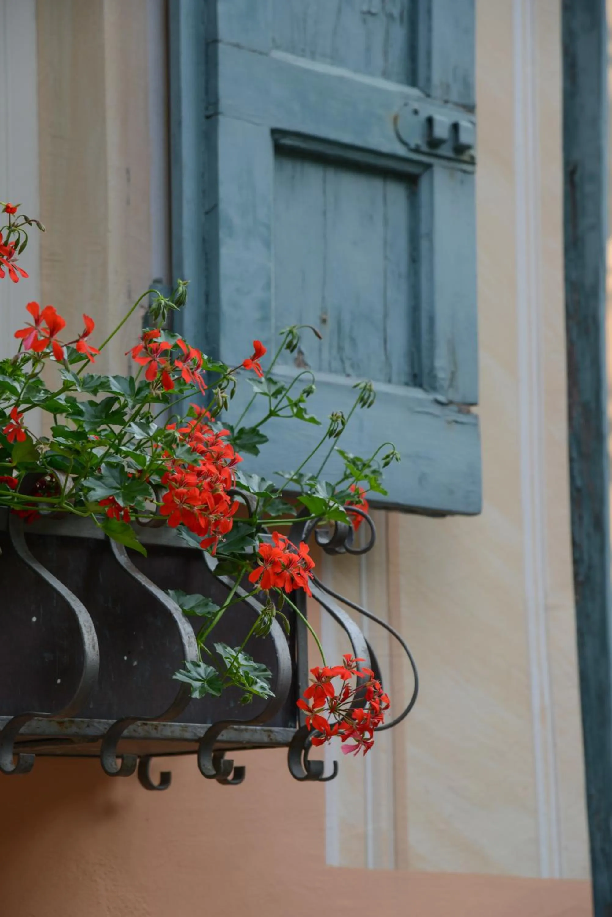Property building in Hotel Villa Rosenhof 1893