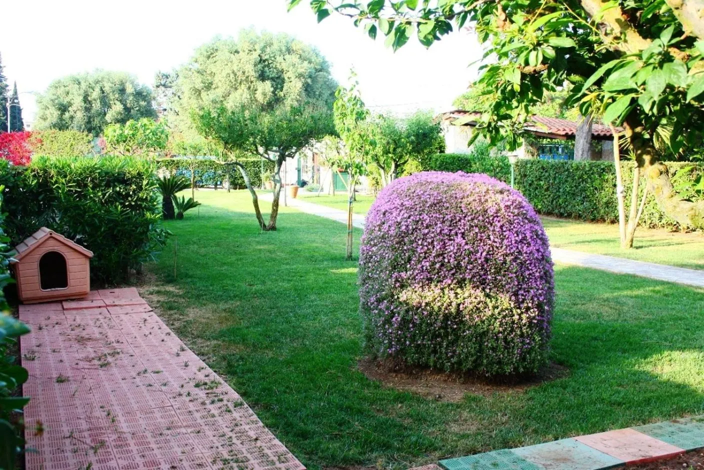 Garden in B&B Verdegiada